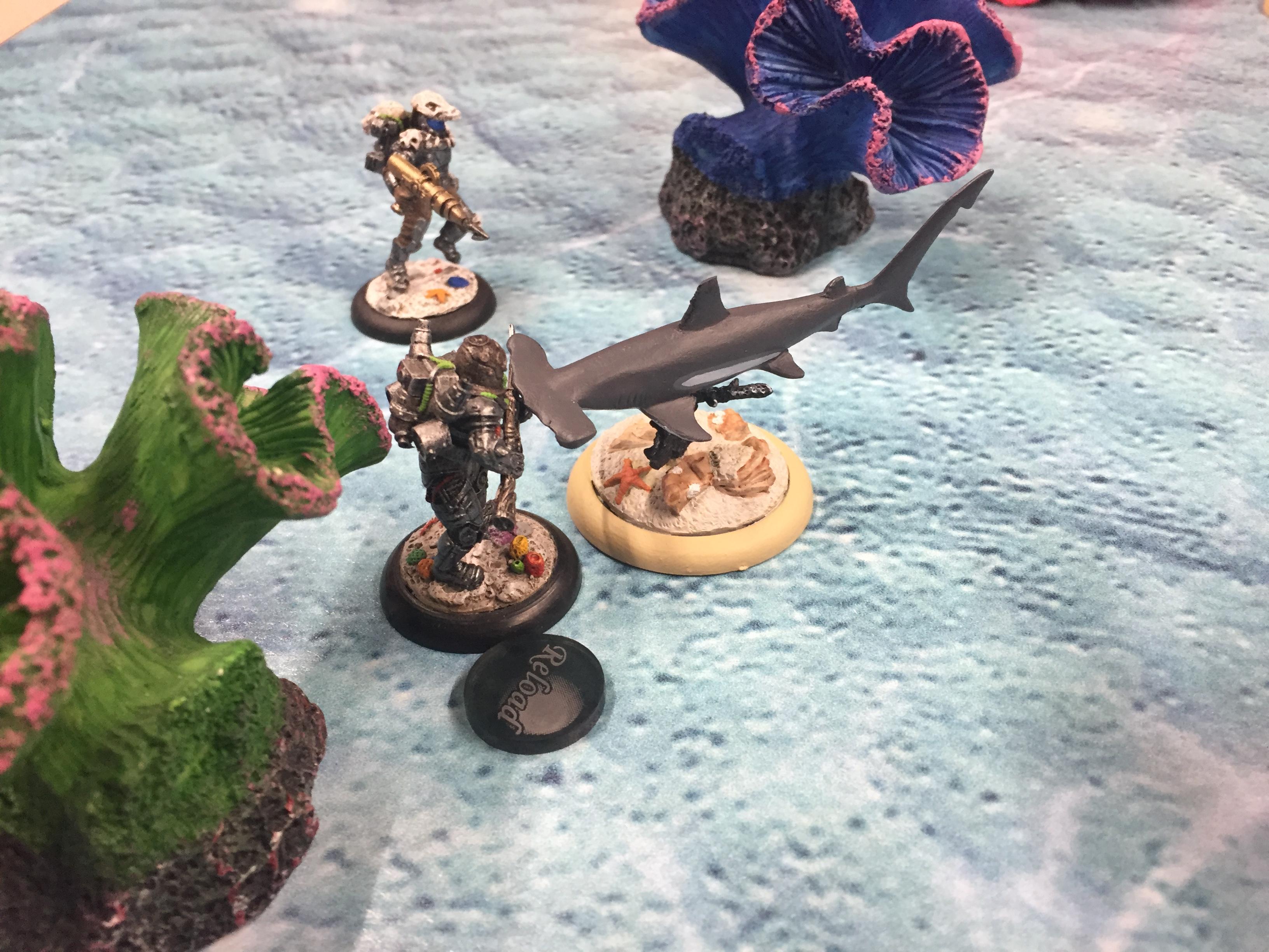 Campaign Scenario 2