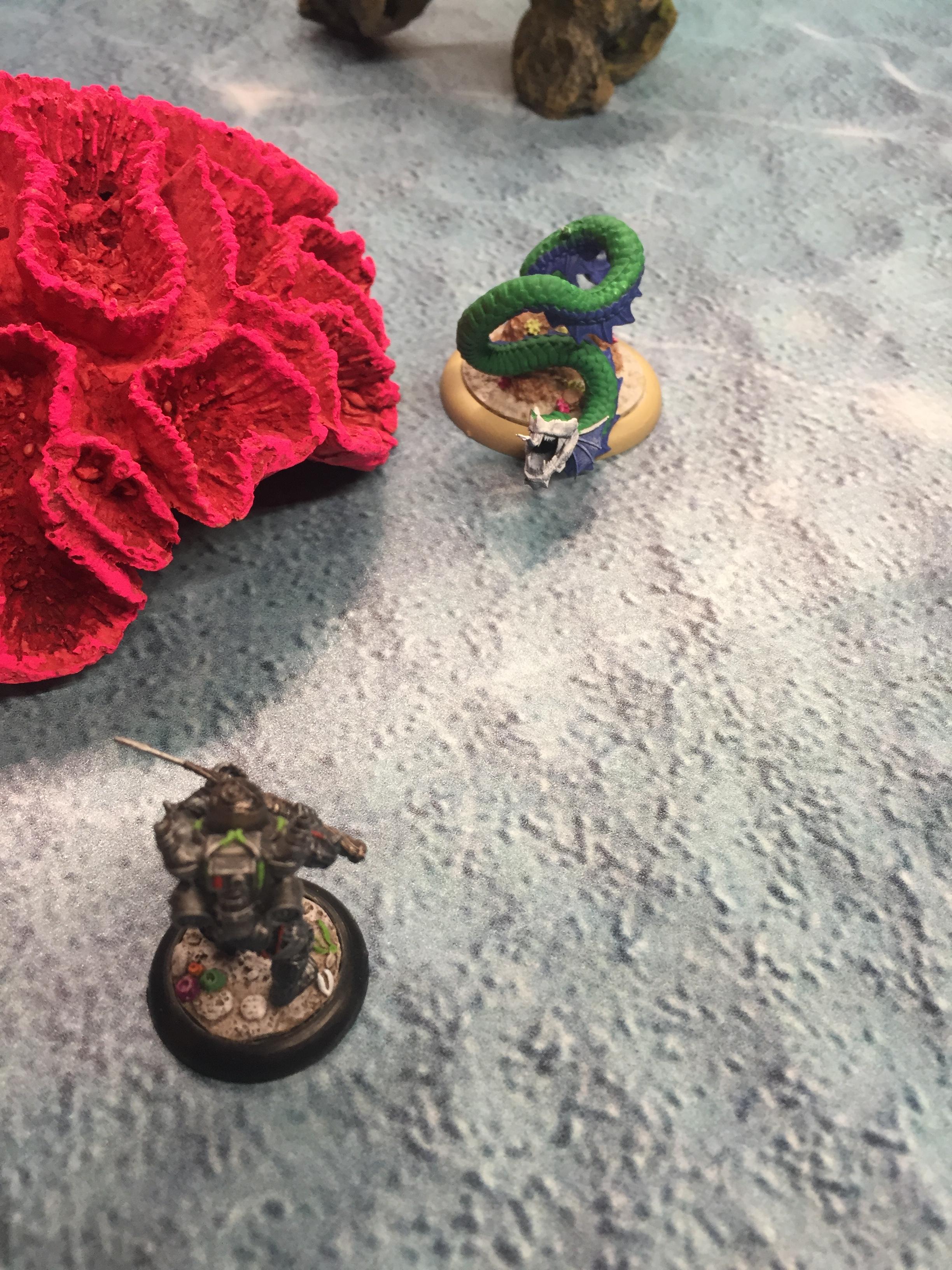 Campaign Scenario 2