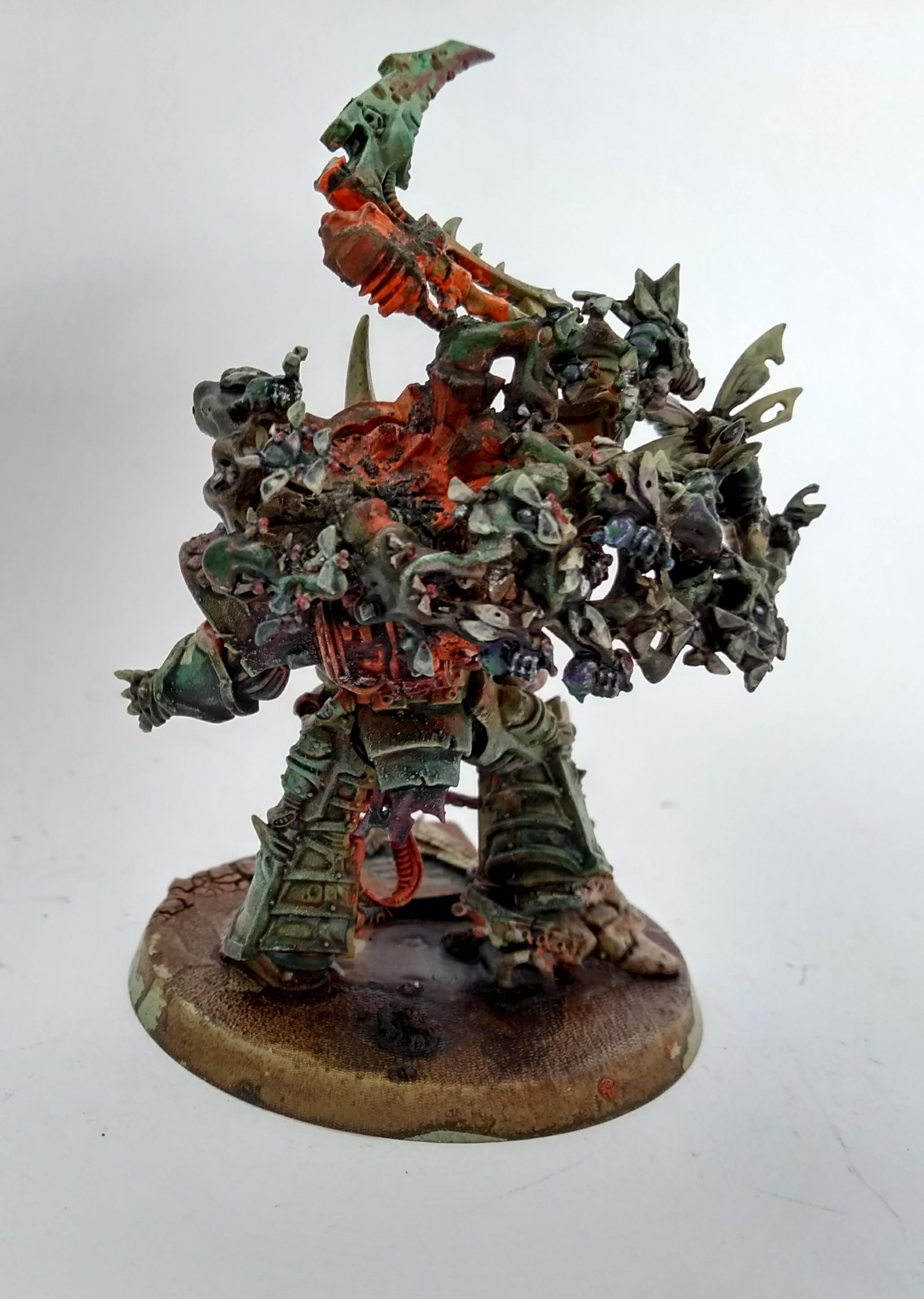 Typhus reverse