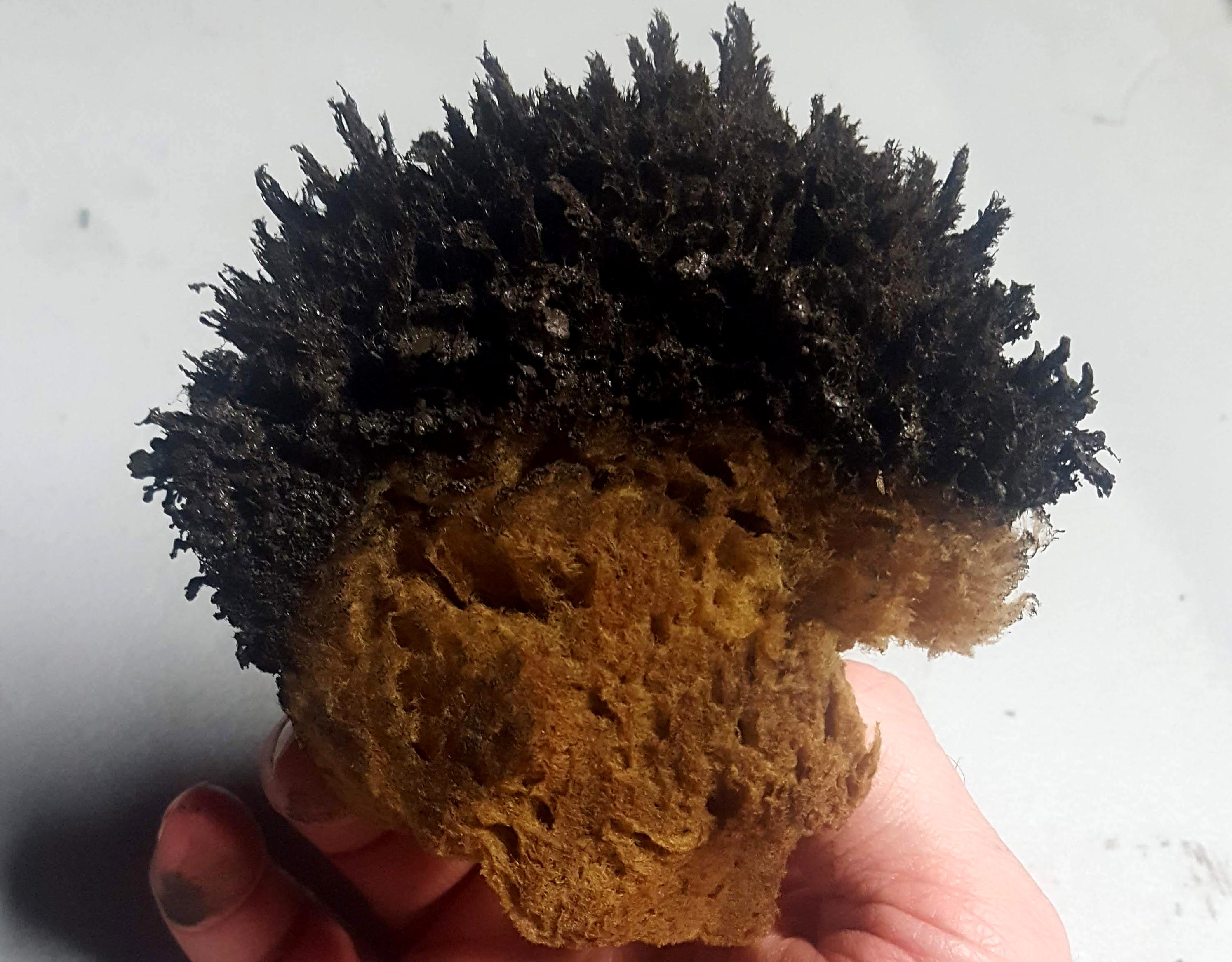 This sponge was the essential painting tool... really cool organic pattern