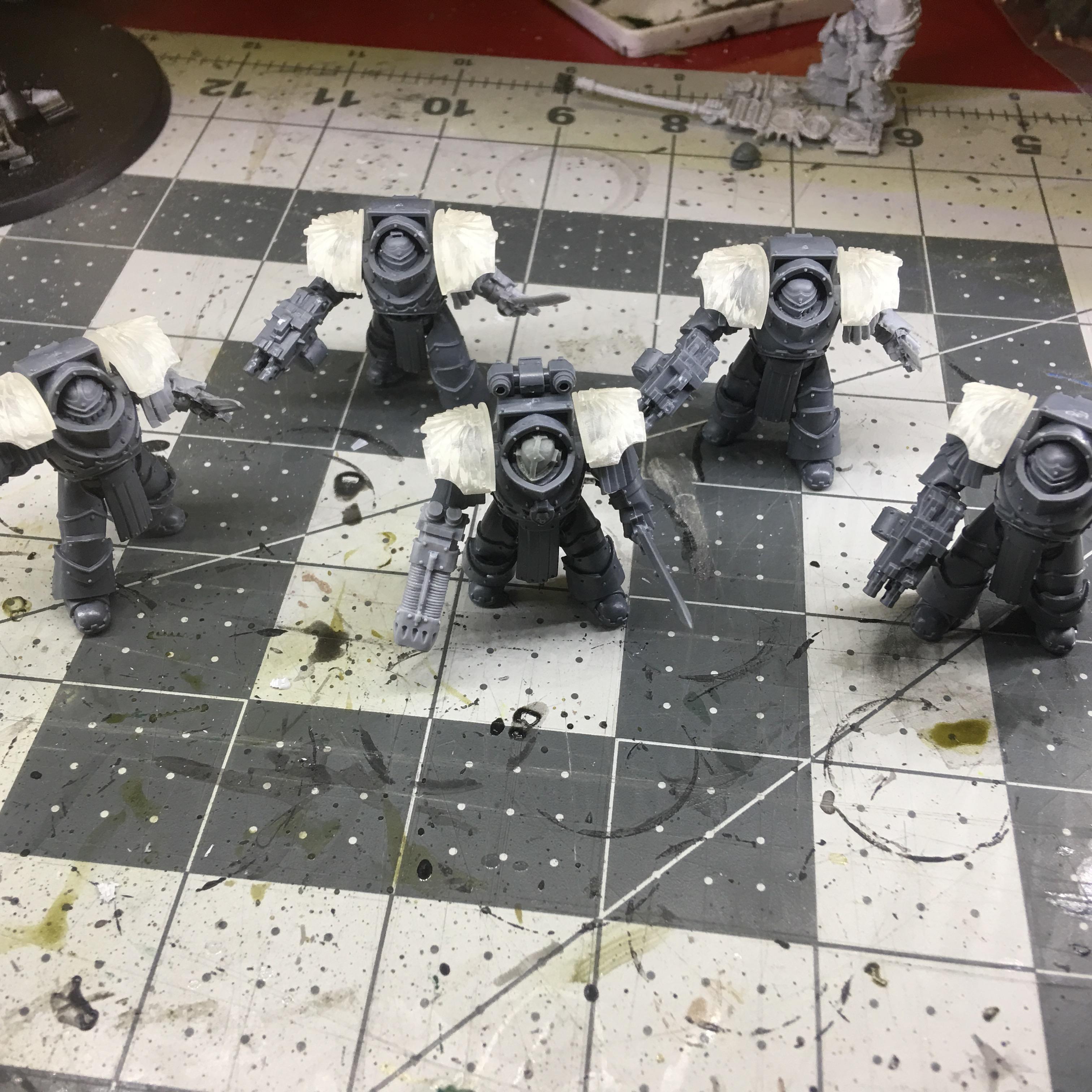 Cataphractii Build!