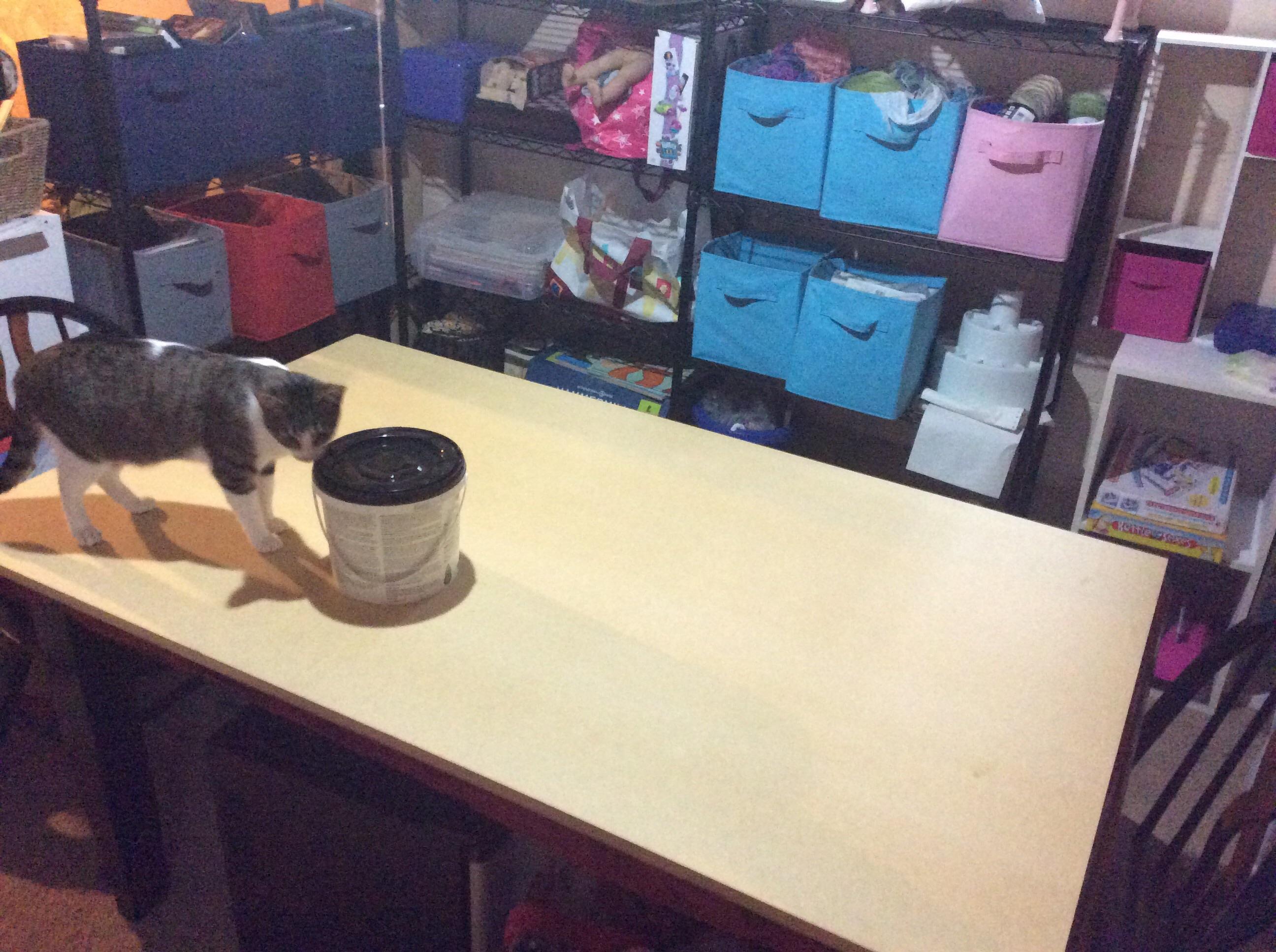 New table