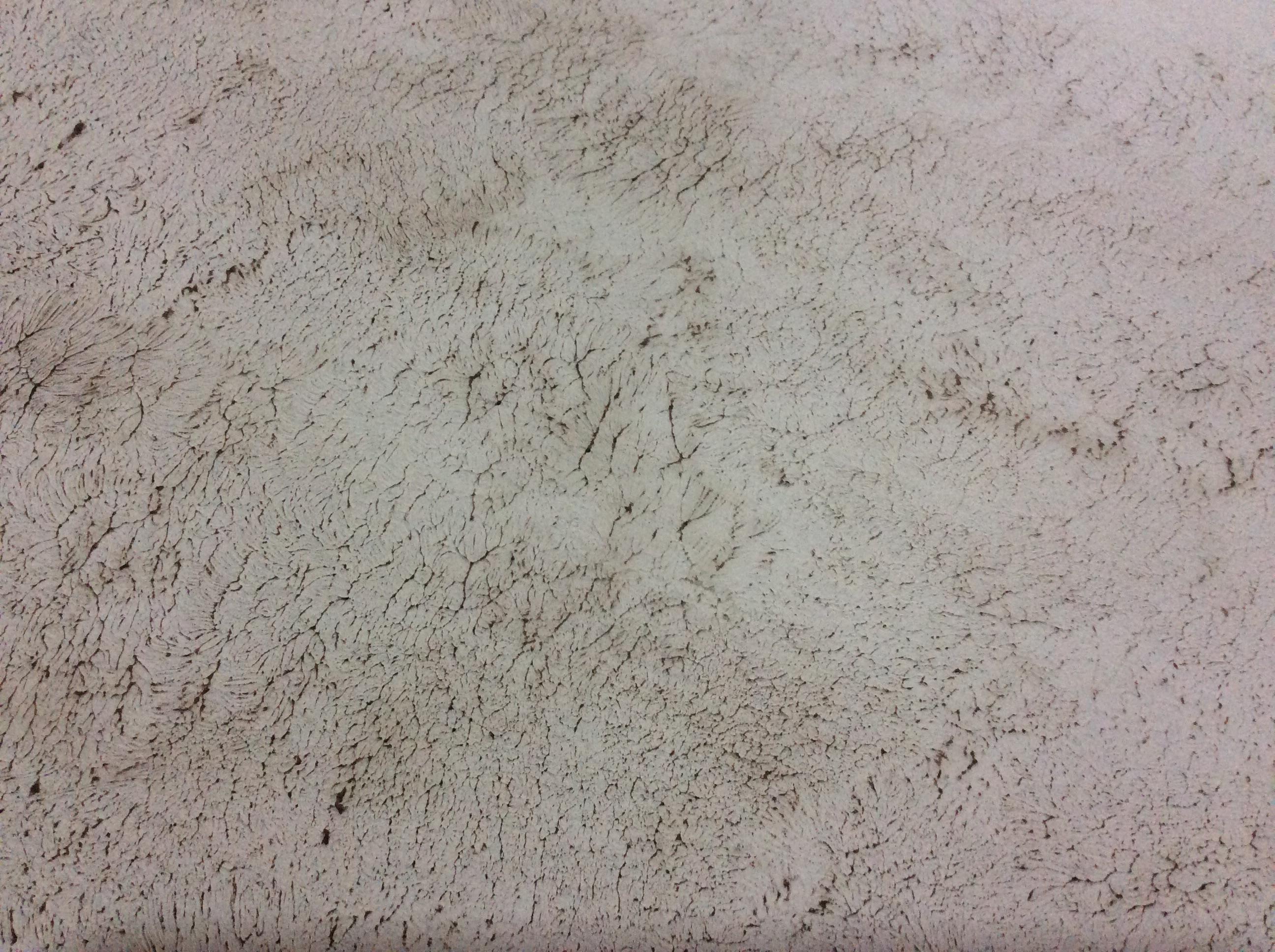 Texture