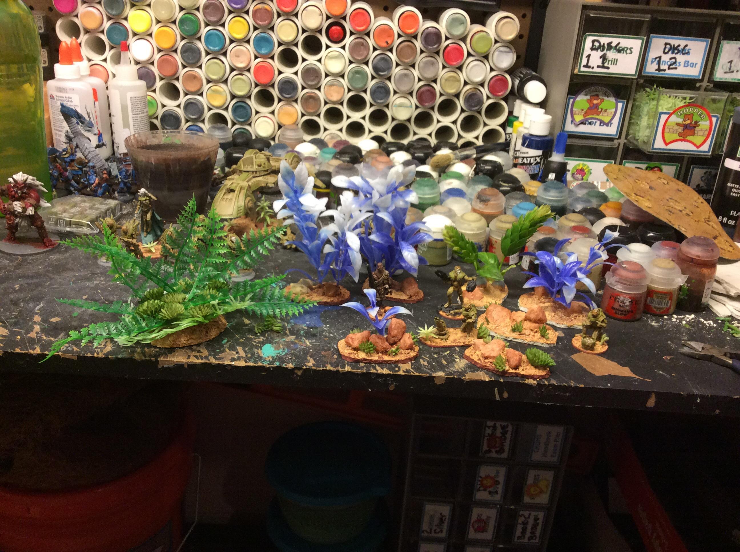 Terrain