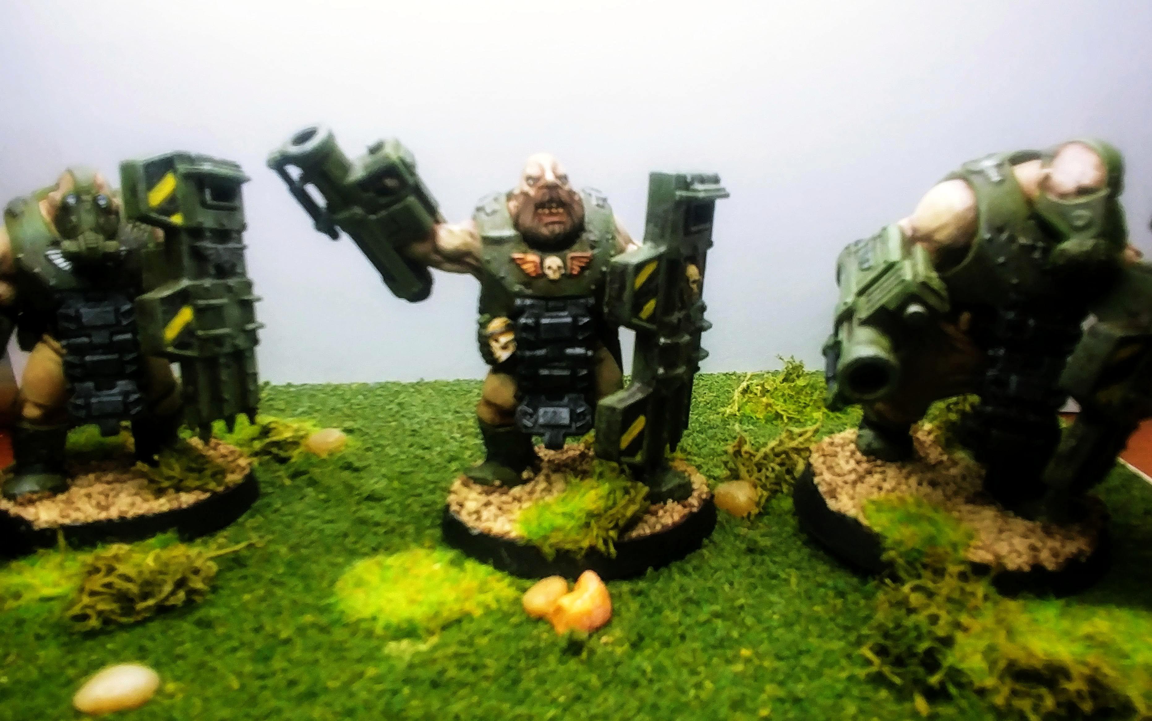 Astra Militarum, Bullgryns, Imperial Guard