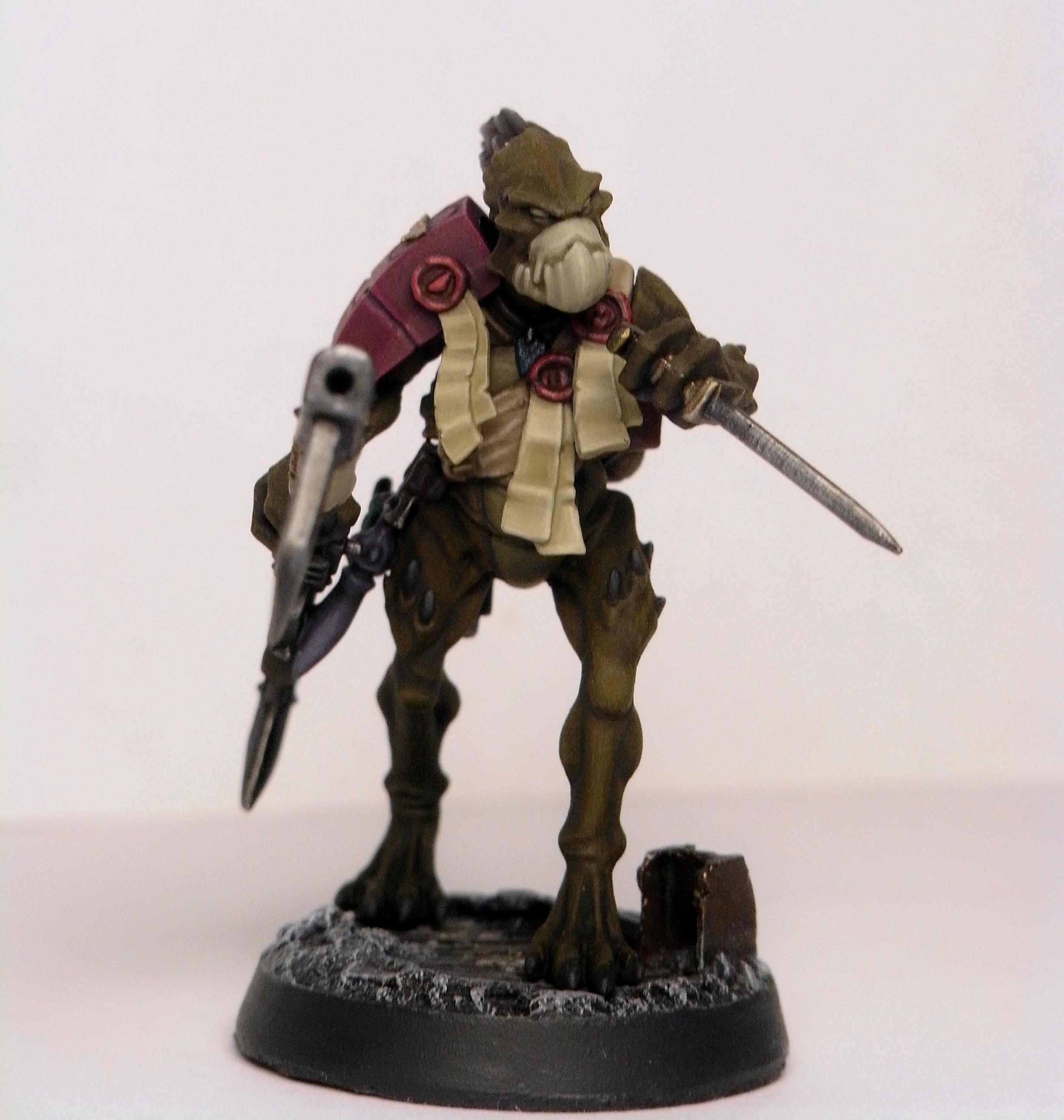Kroot Mercenary
