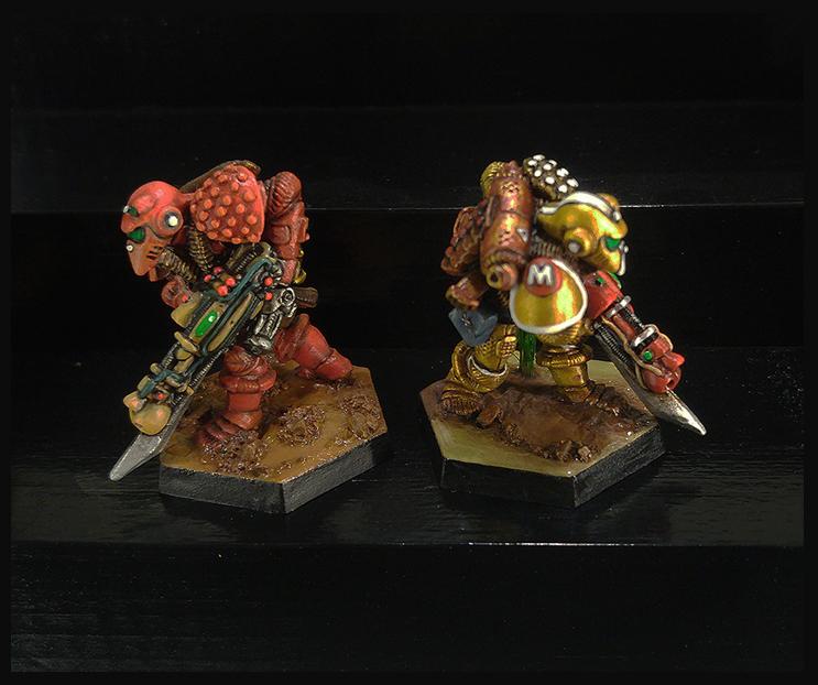LE2 Imperial  Marines