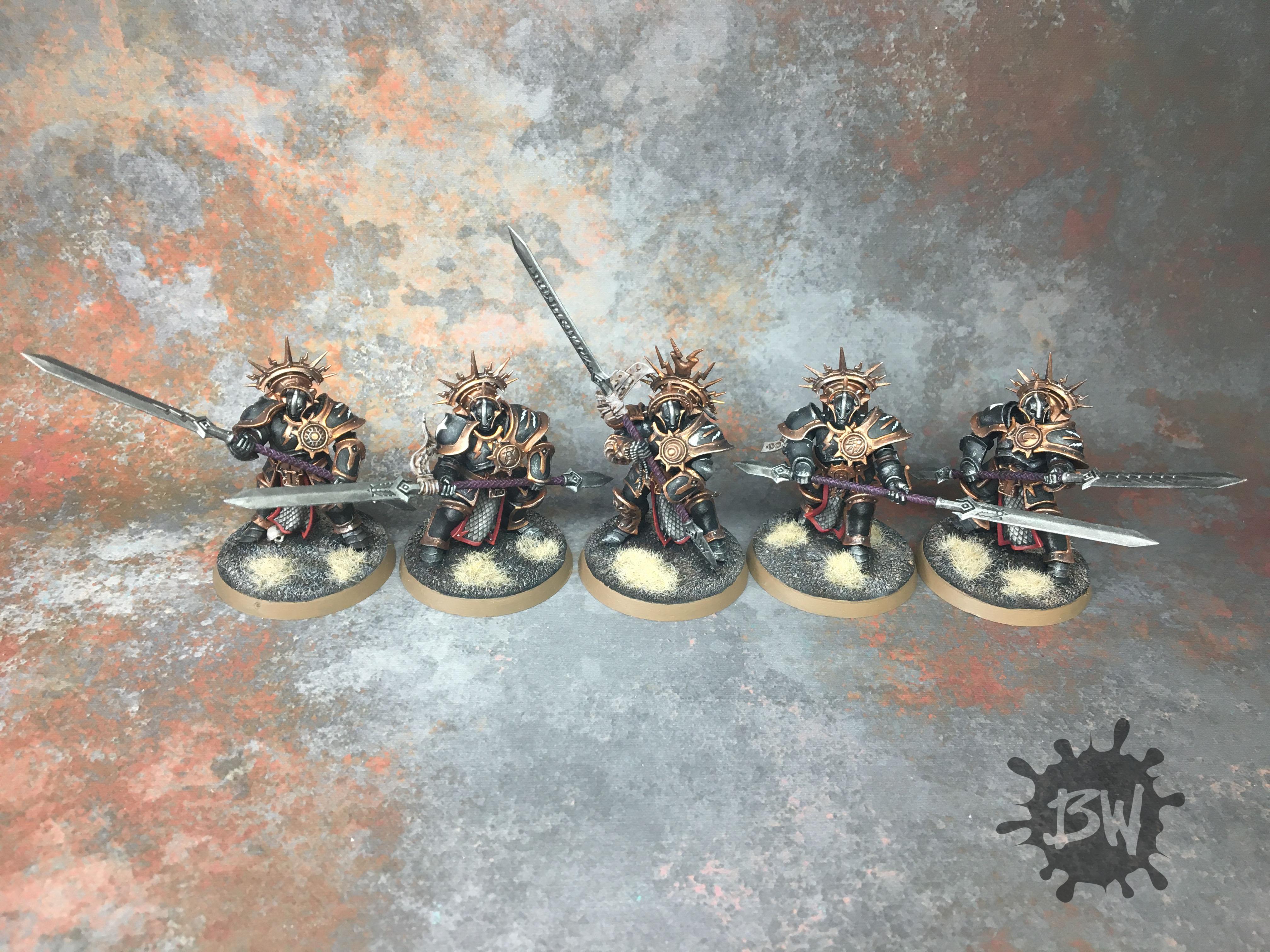 Paladin Protectors, Paladin Protectors