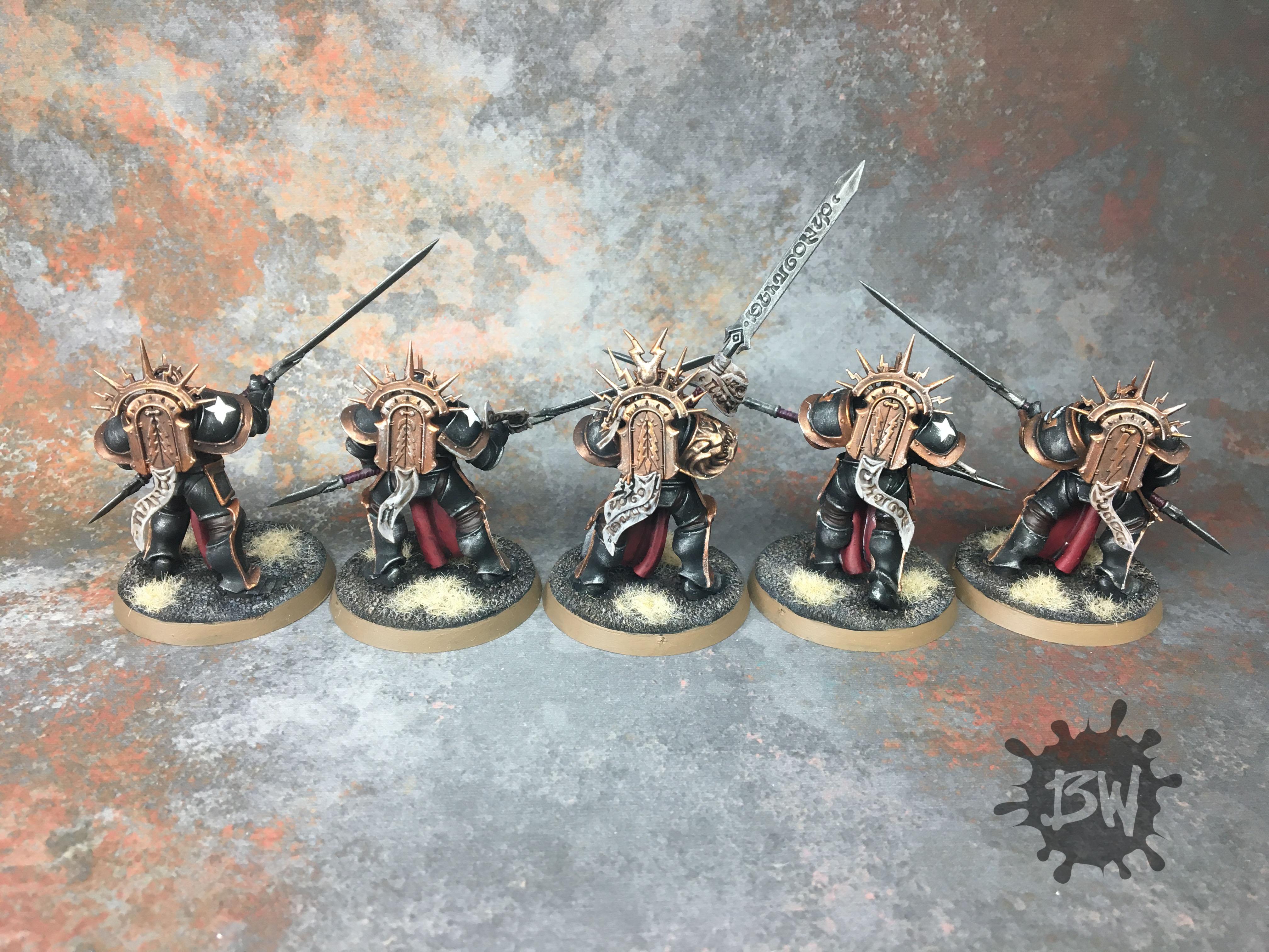 Paladin Protectors, Paladin Protectors