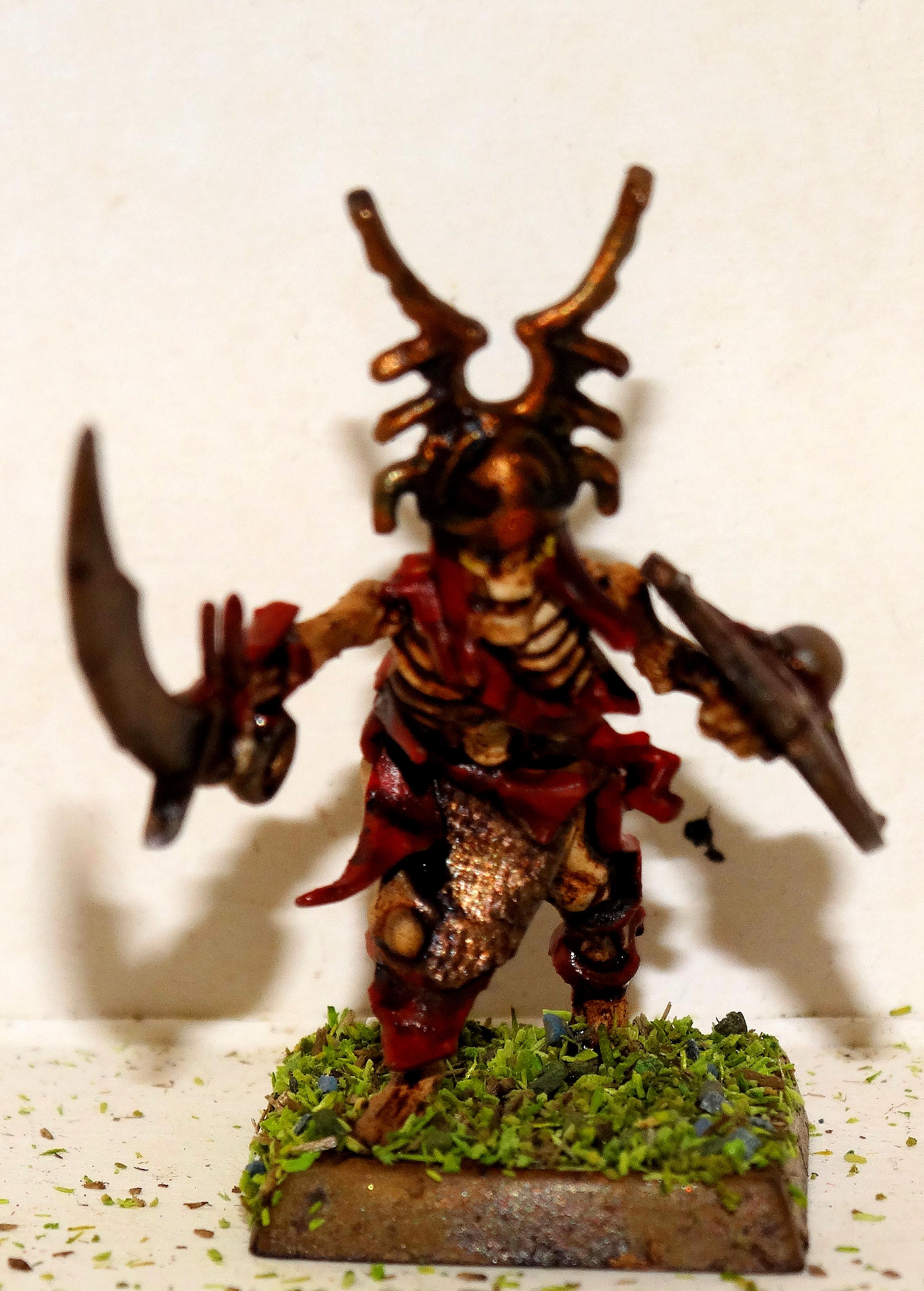 Skellie Leader