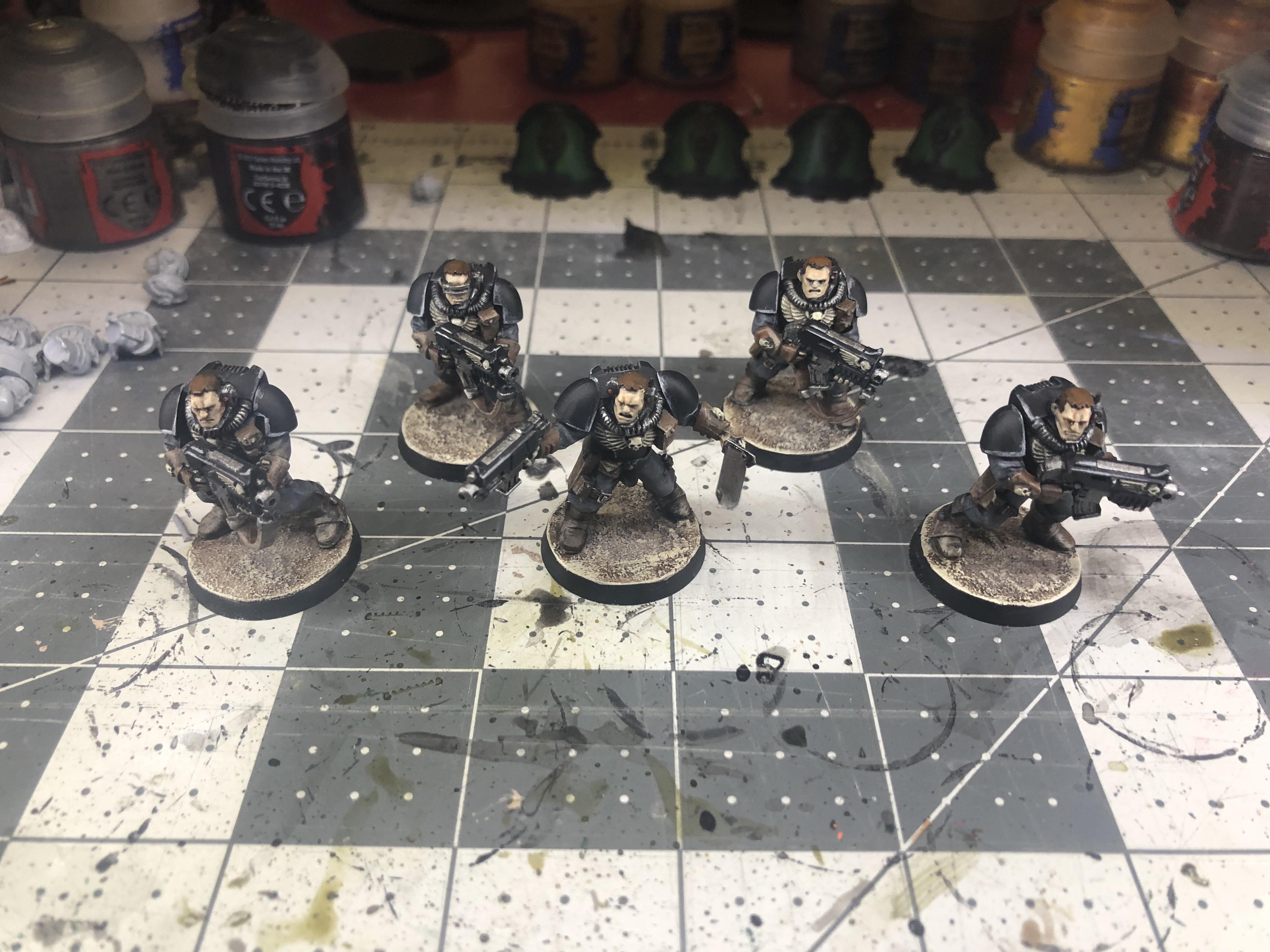 Bolter Scouts