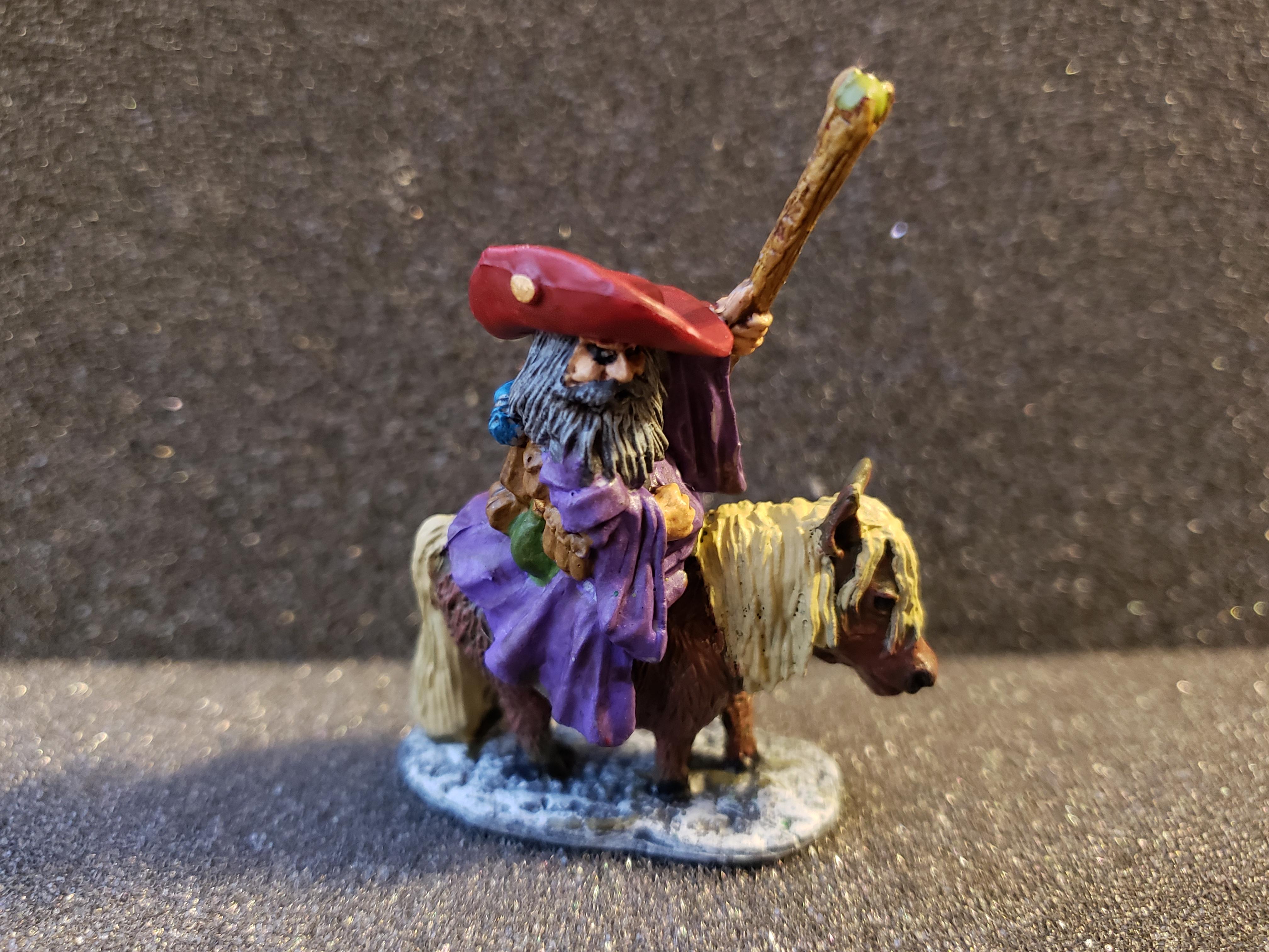 Dwarves, Pony, Wizard