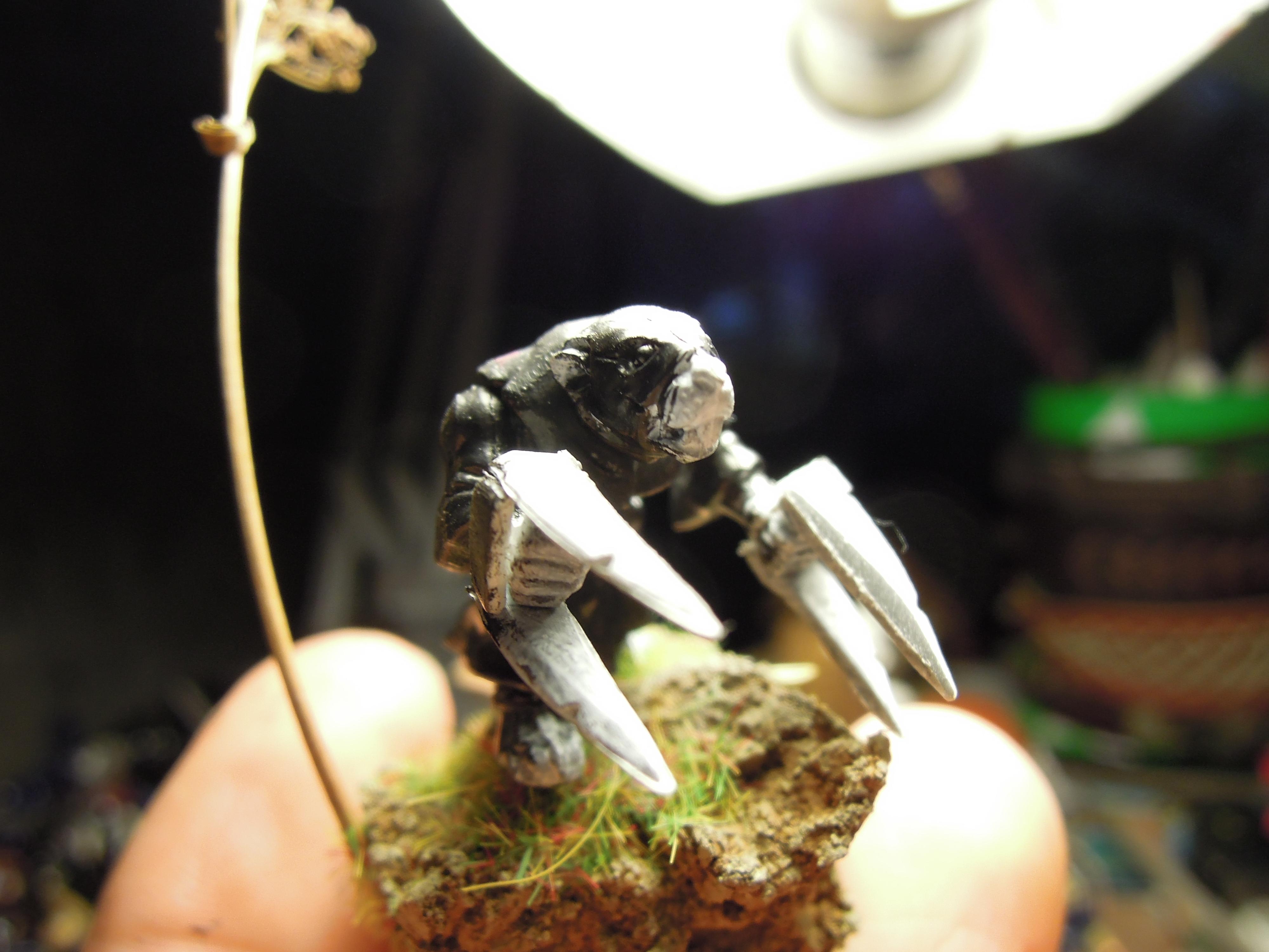 Age Of Sigmar, Assassin, Chaos, Conversion, Eshin, Gutter Runner, Rats, Skaven, Warhammer Fantasy, Work In Progress