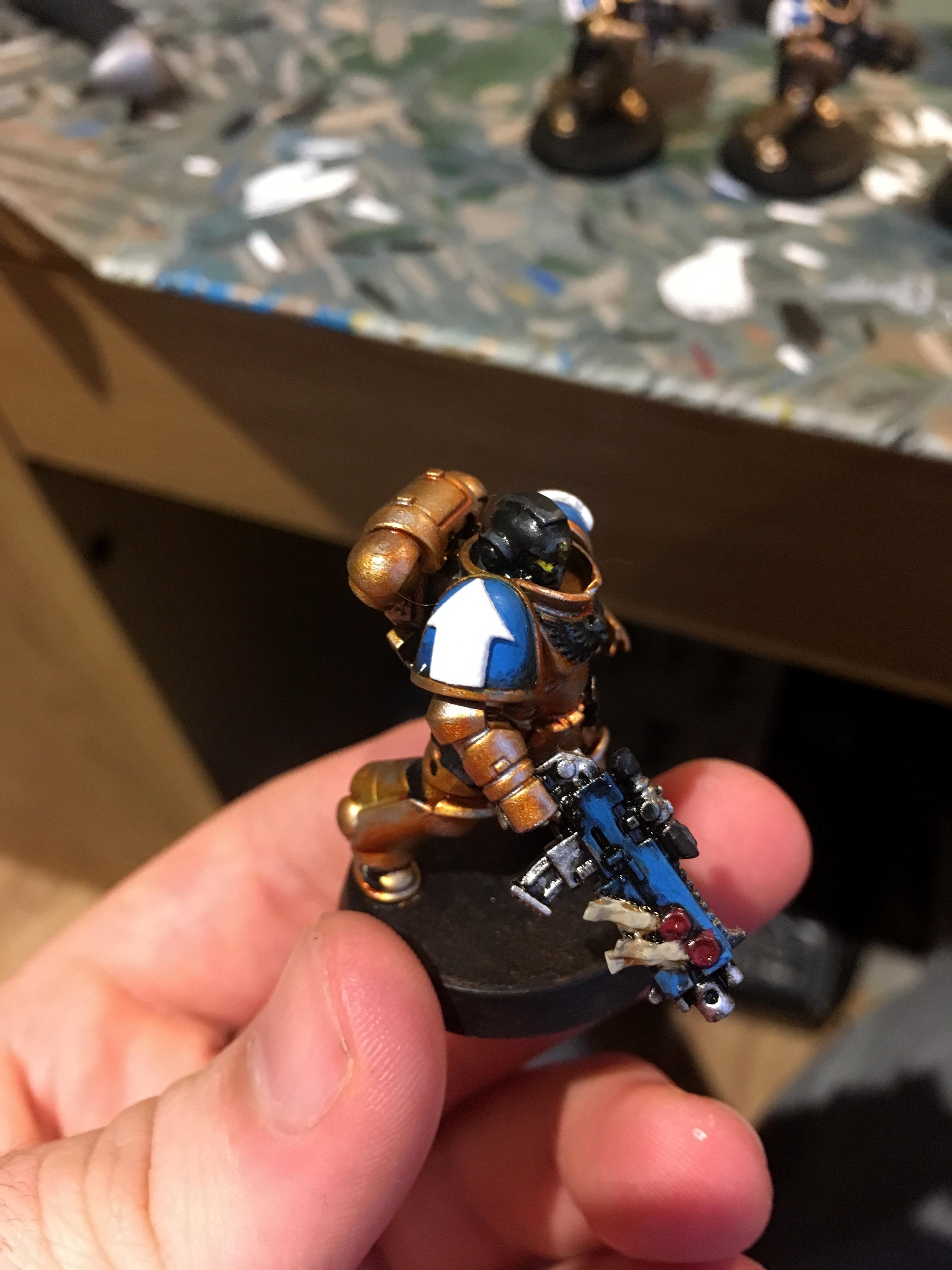 Celestial Lions, Space Marines