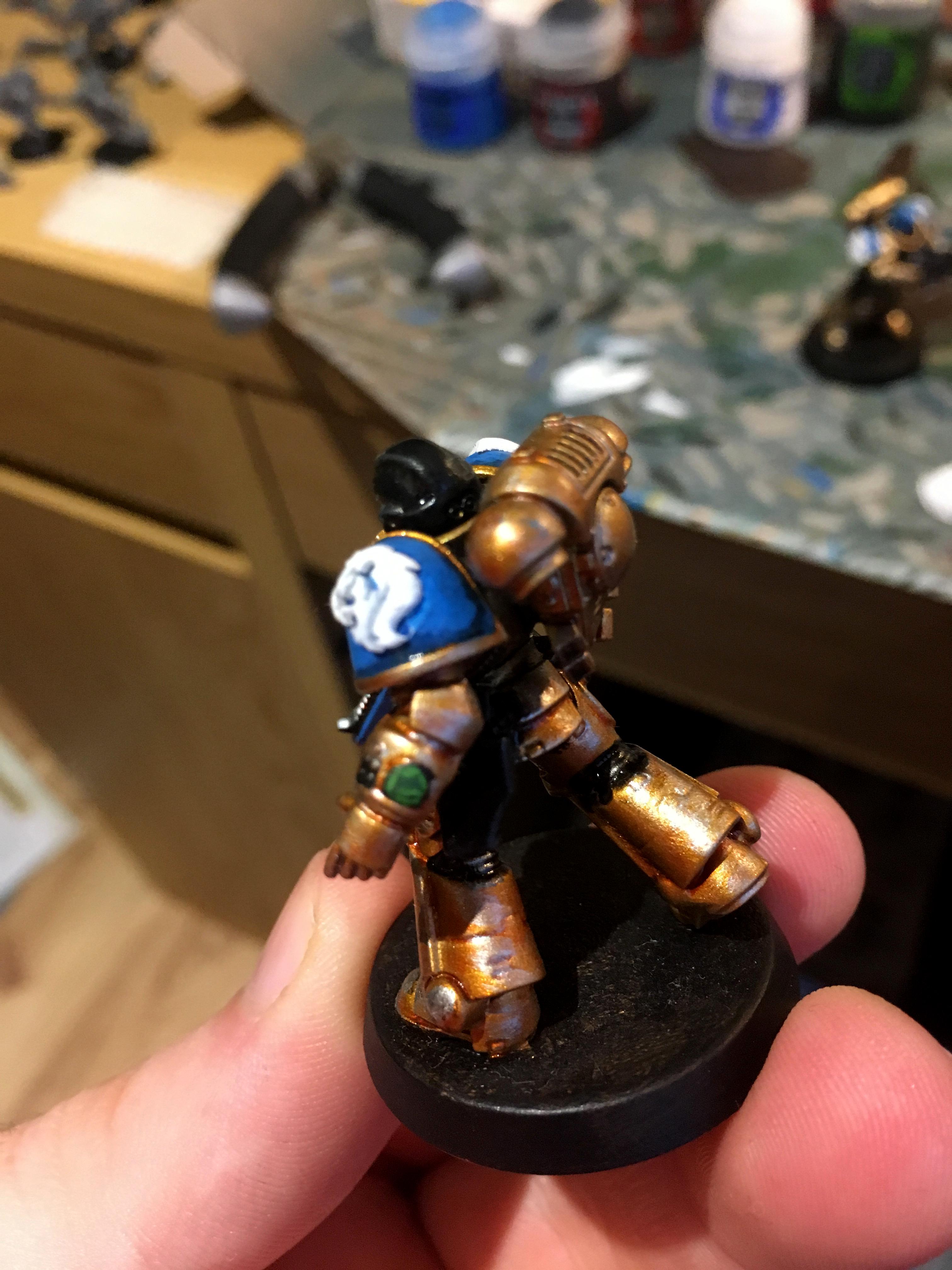 Celestial Lions, Space Marines