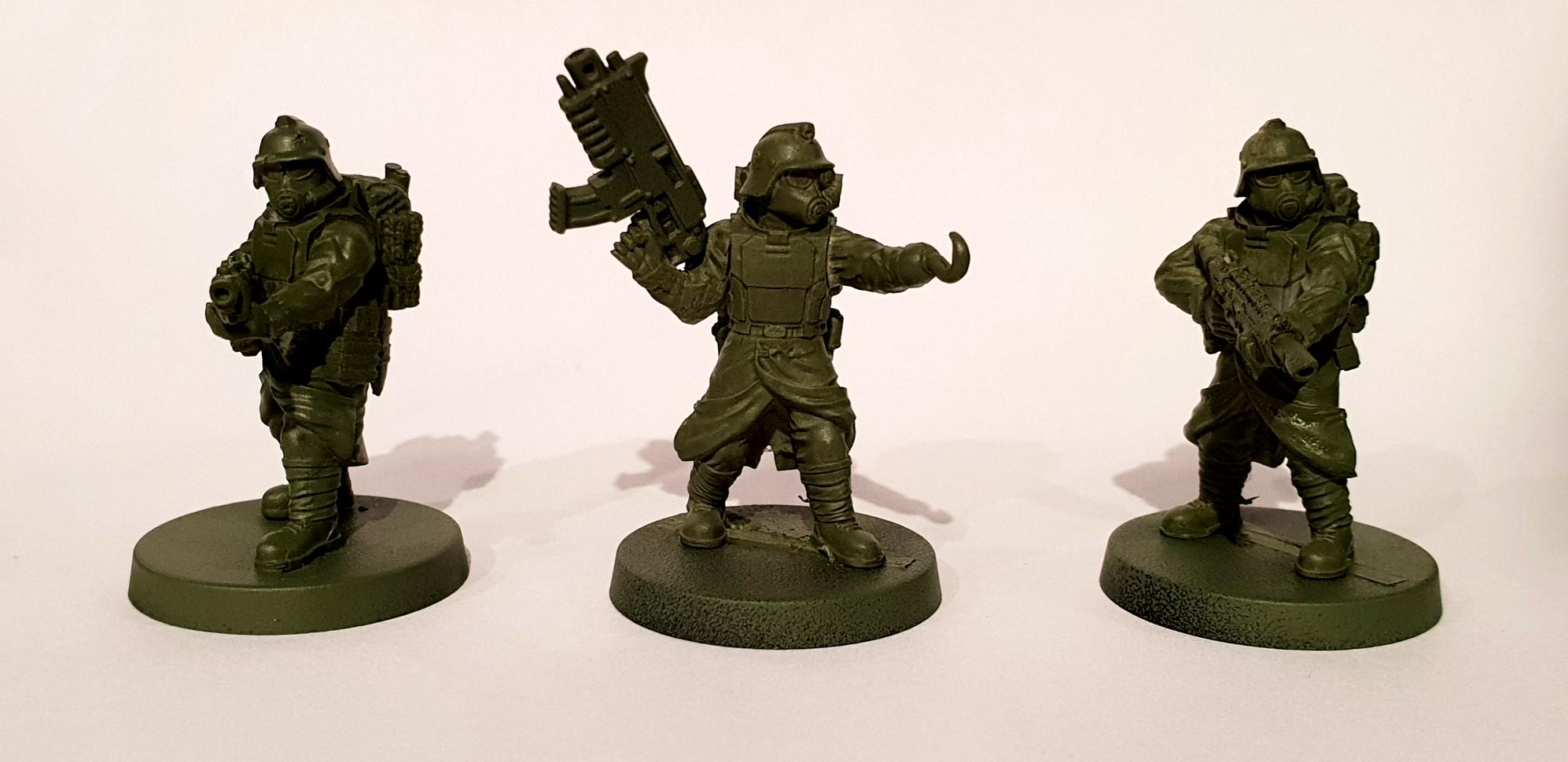 WIP vets