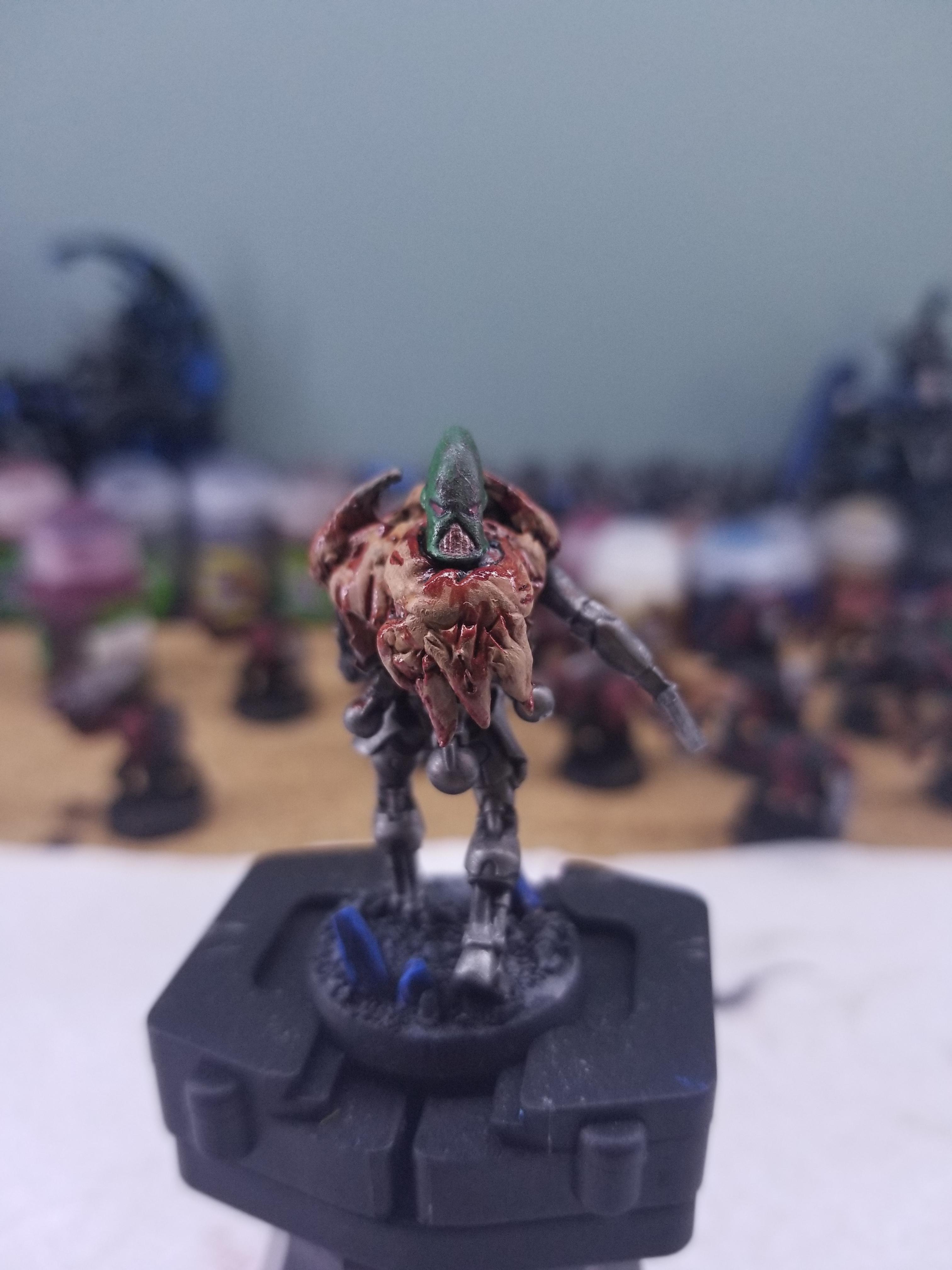 Custom, Custom Necron Flayedones, Flayed Ones, Necrons