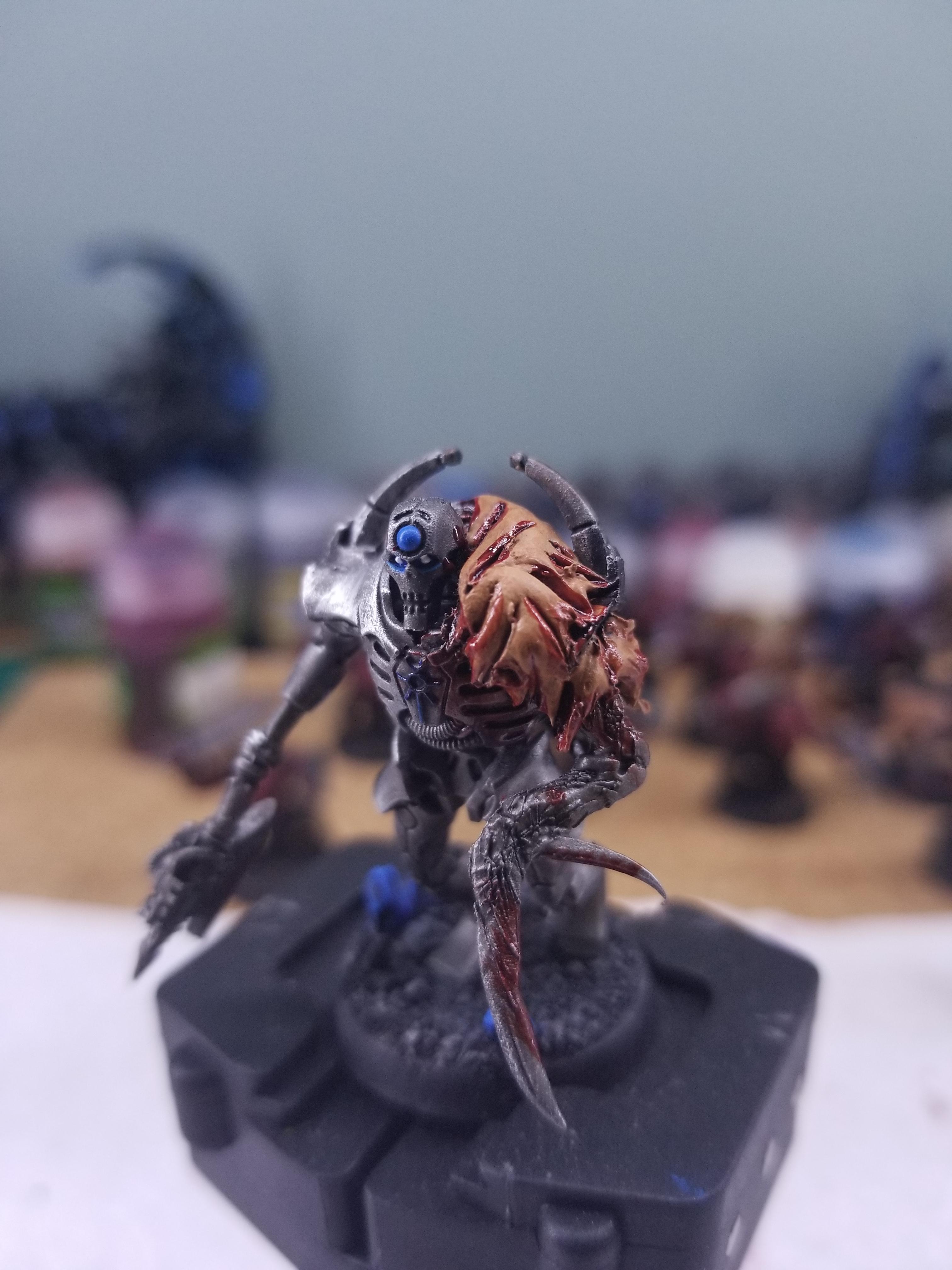Custom, Custom Necron Flayedones, Flayed Ones, Necrons