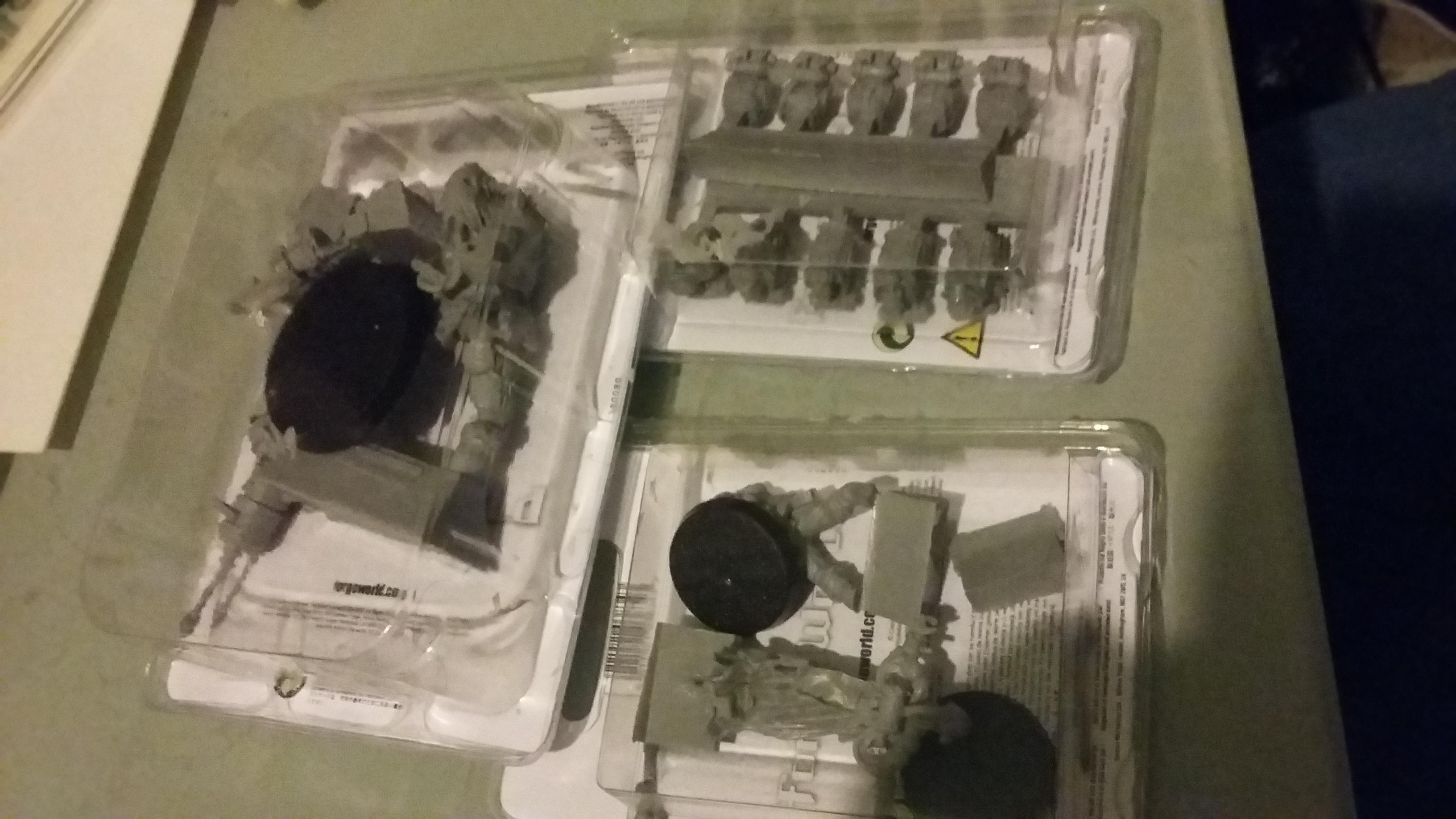 1st Forgeworld order