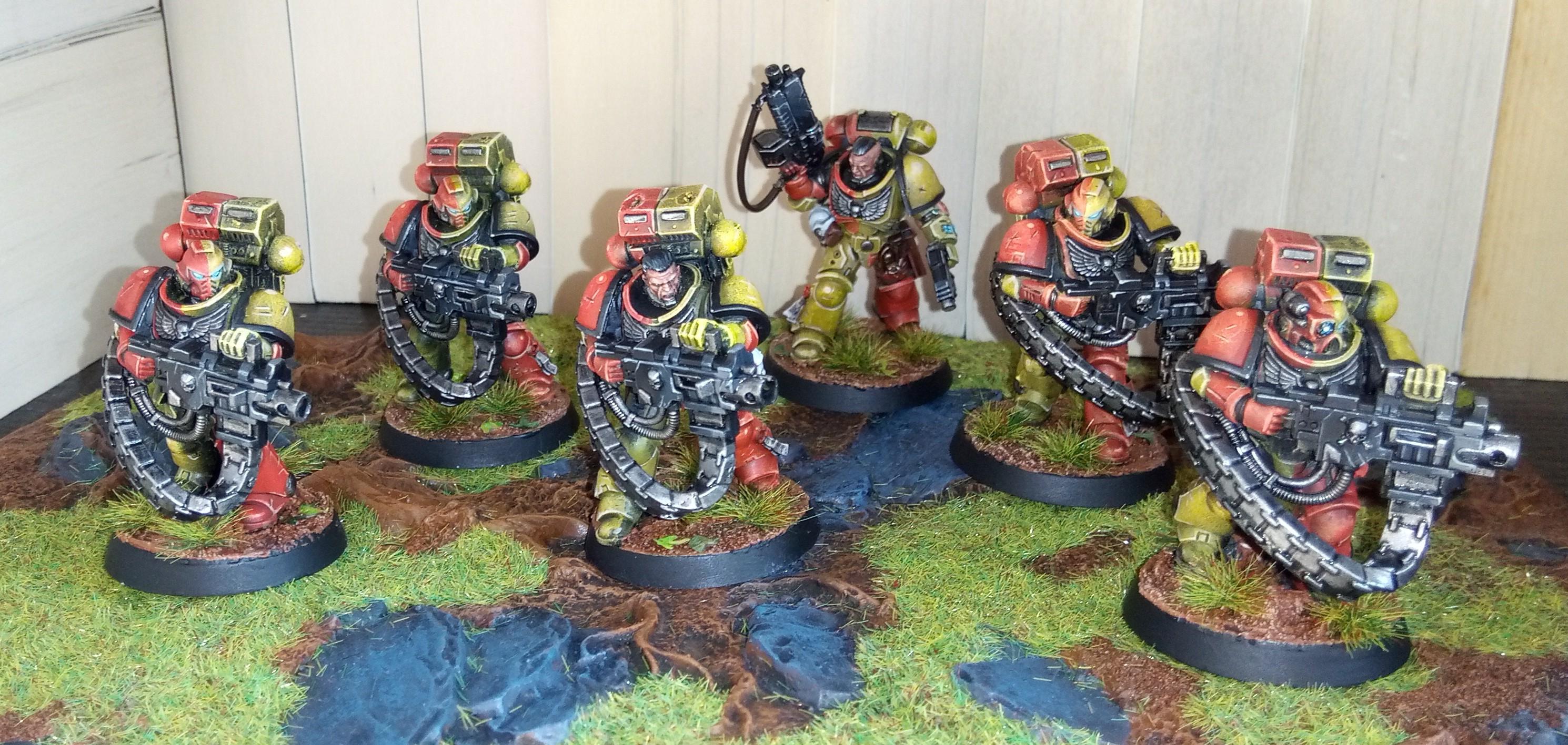Devistator, Display, Display Board, Heavy Bolter, Howling Griffons, Space Marines, Squad