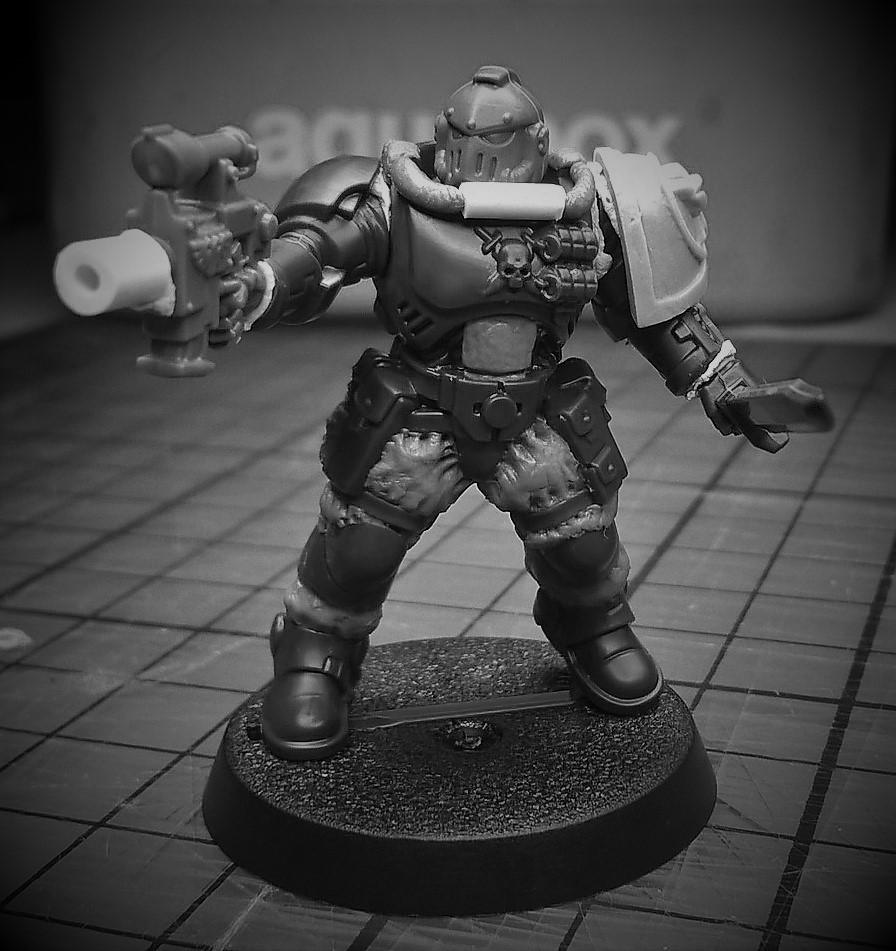 Conversion, Imperial Fists, Primaris, Solar Lions, Space Marines, Warhammer 40,000