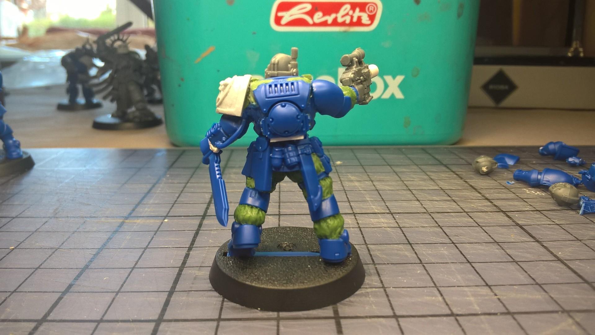 Conversion, Imperial Fists, Primaris, Solar Lions, Space Marines, Warhammer 40,000
