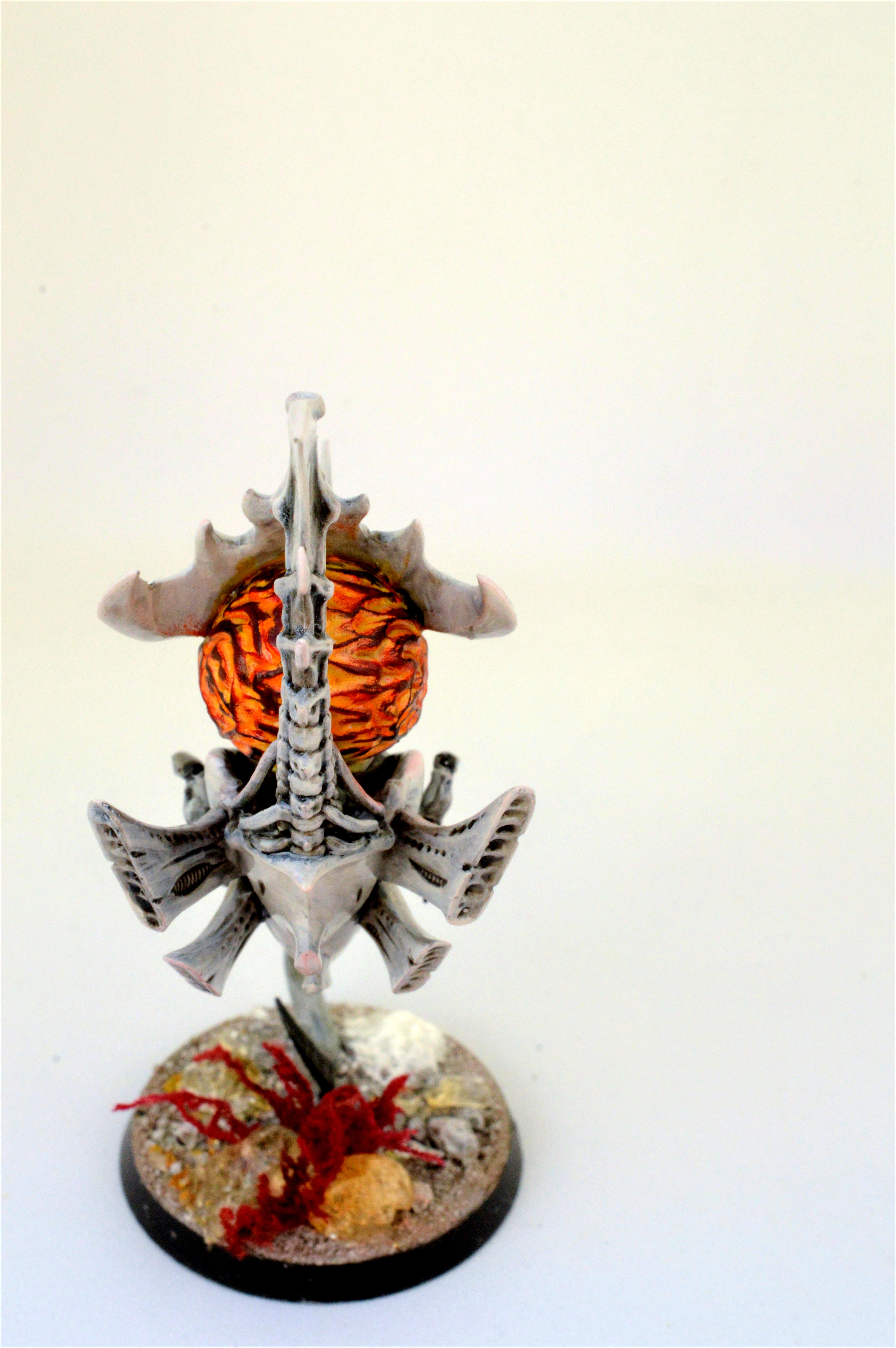 Neurothropes, Tyranids, Zoanthrope