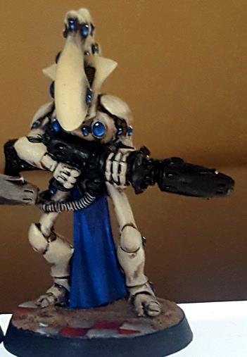 Eldar, Wraithguard, Wraithhost