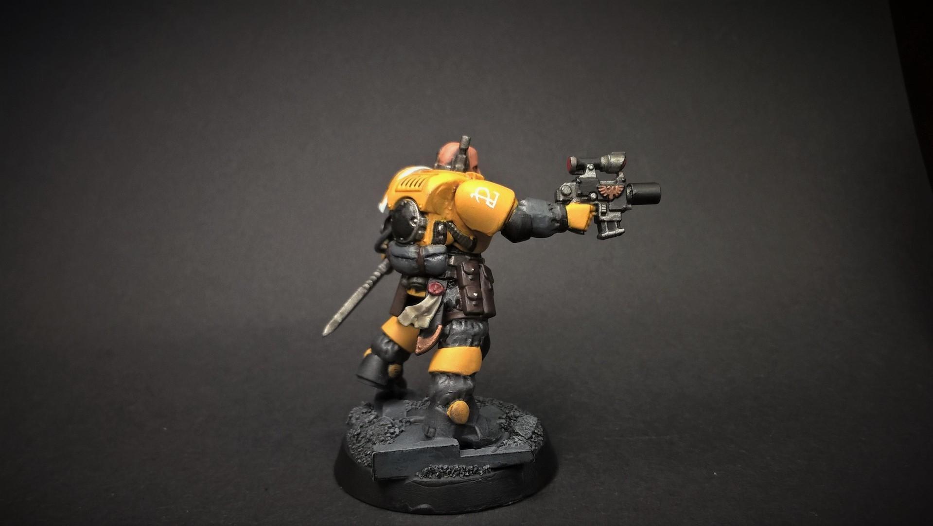 Conversion, Imperial Fists, Primaris, Solar Lions, Space Marines, Warhammer 40,000