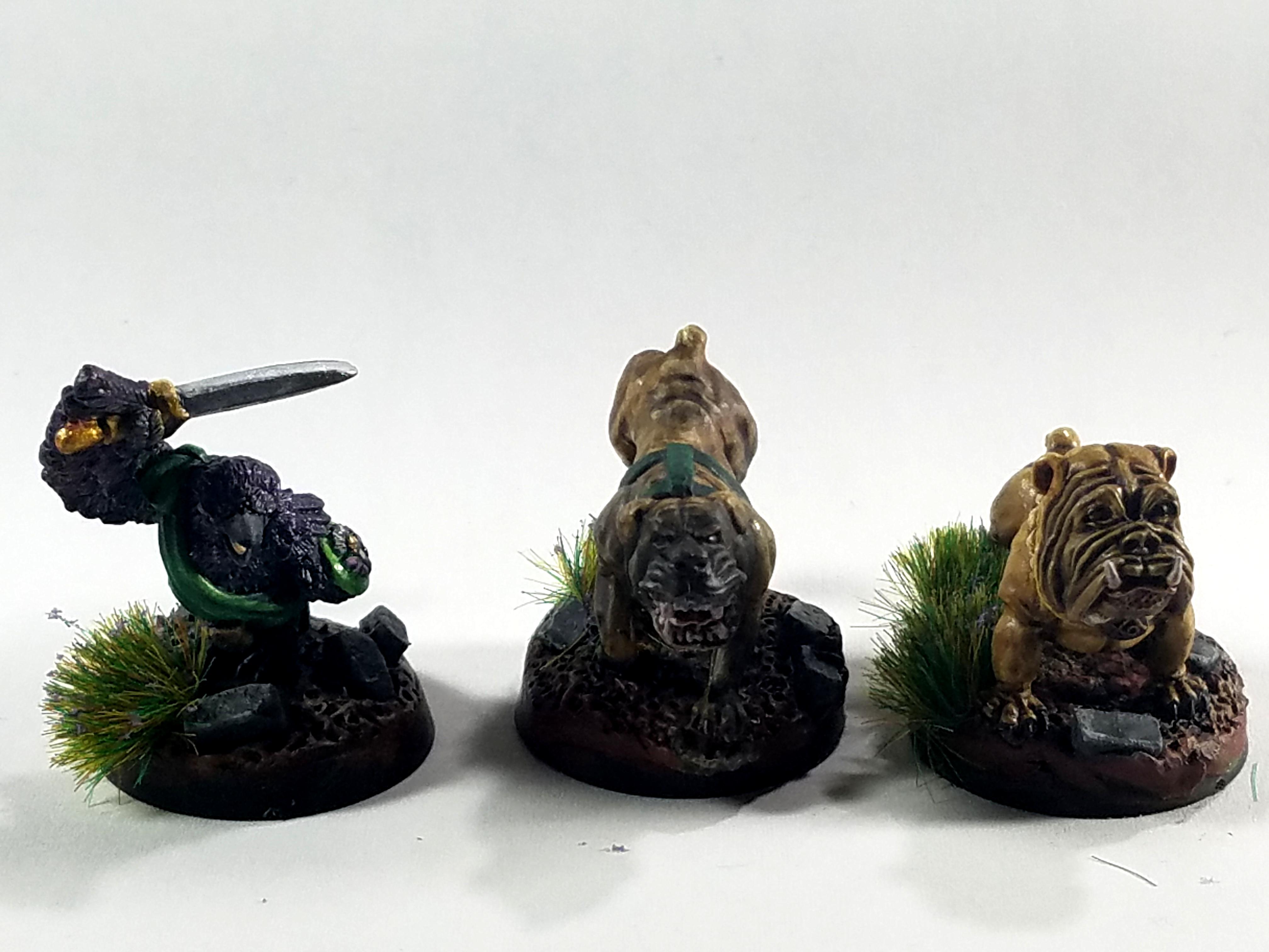 Dakka Painting Challenge 2018, Oathsworn Miniatures, Reaper Miniatures, Washed Out Pictures