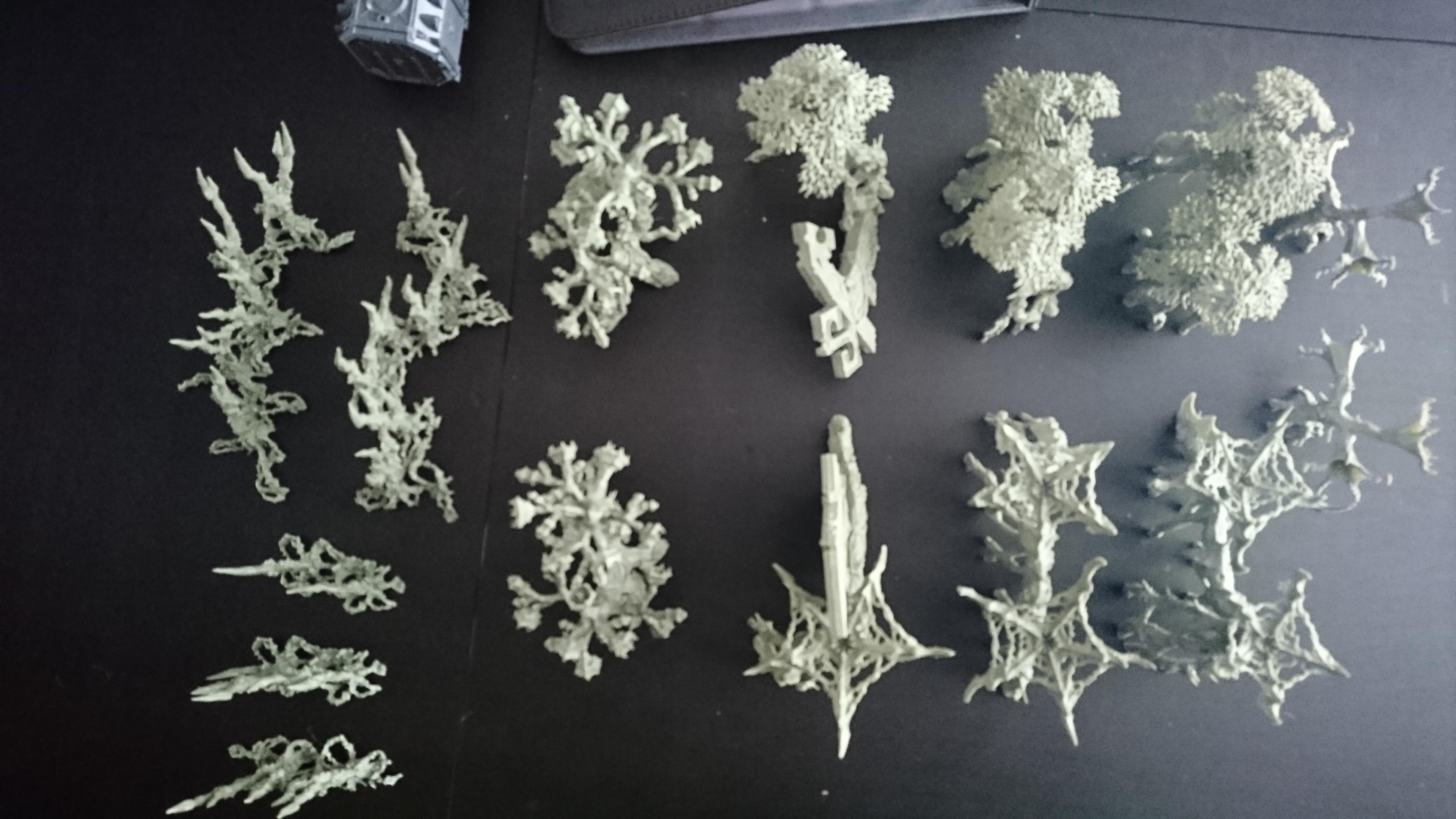 Kill zone death world forest