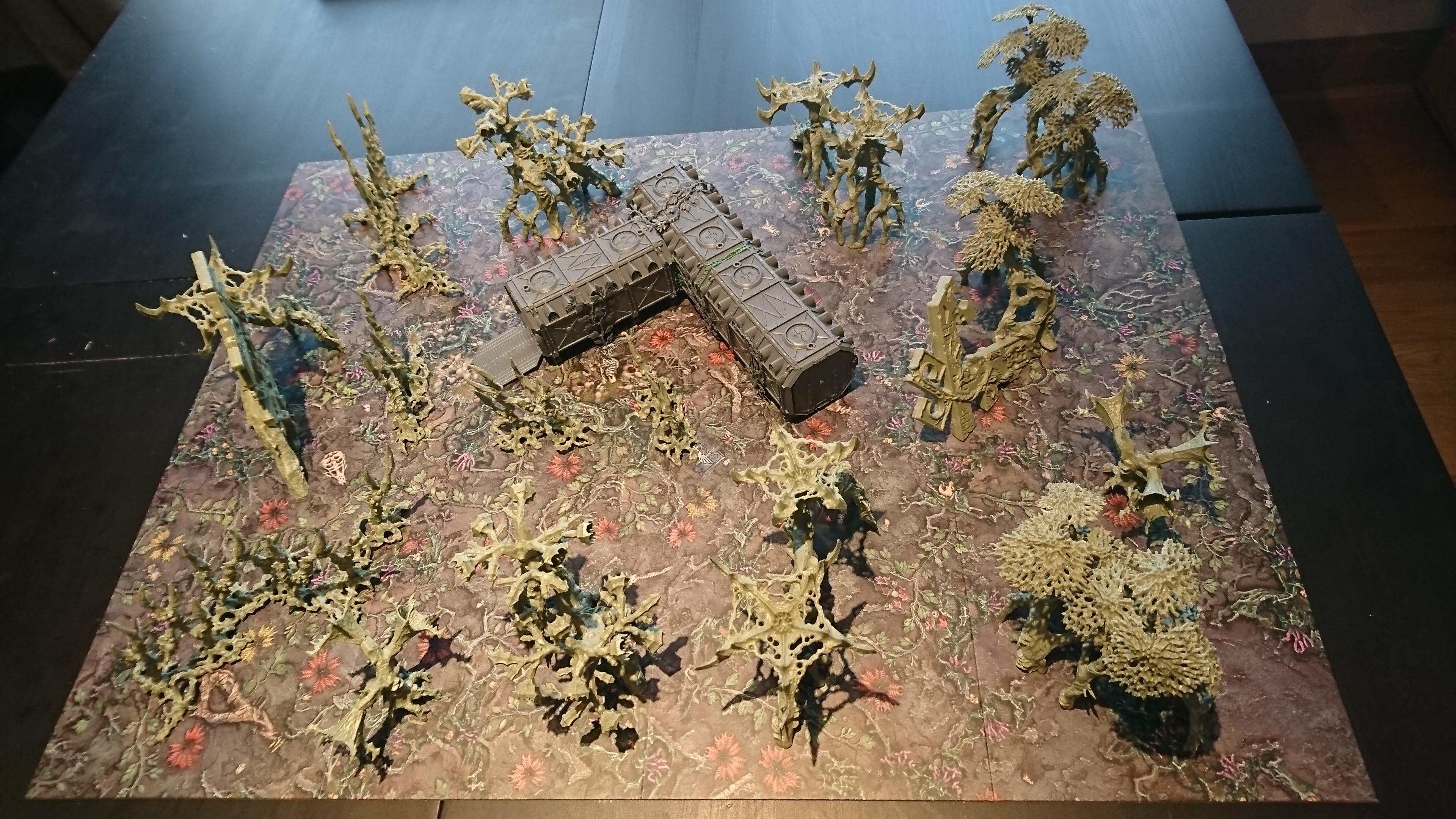 Kill Zone Death World Forest