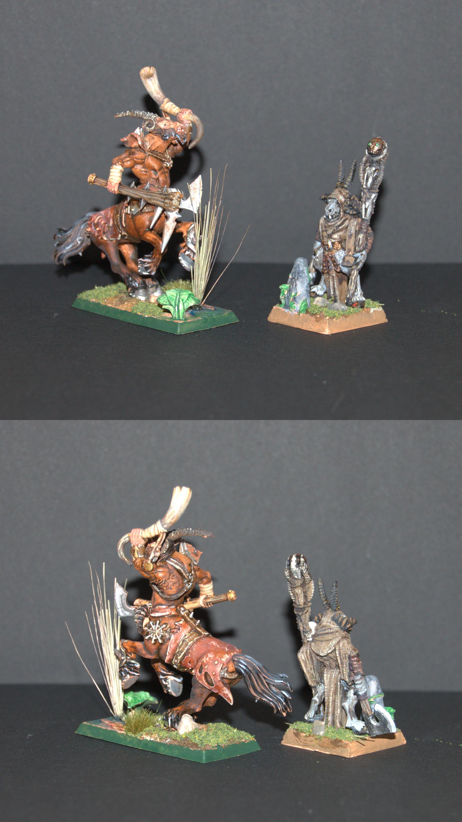 Beastmen, Centigor, Shaman, Warhammer Fantasy