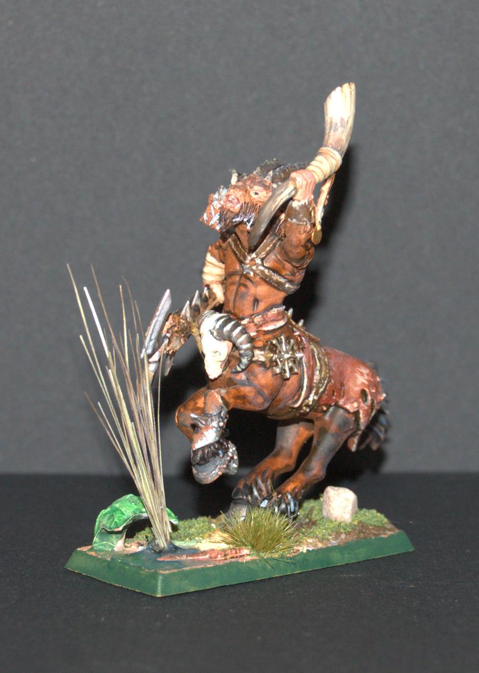Beastmen, Centigor, Shaman, Warhammer Fantasy