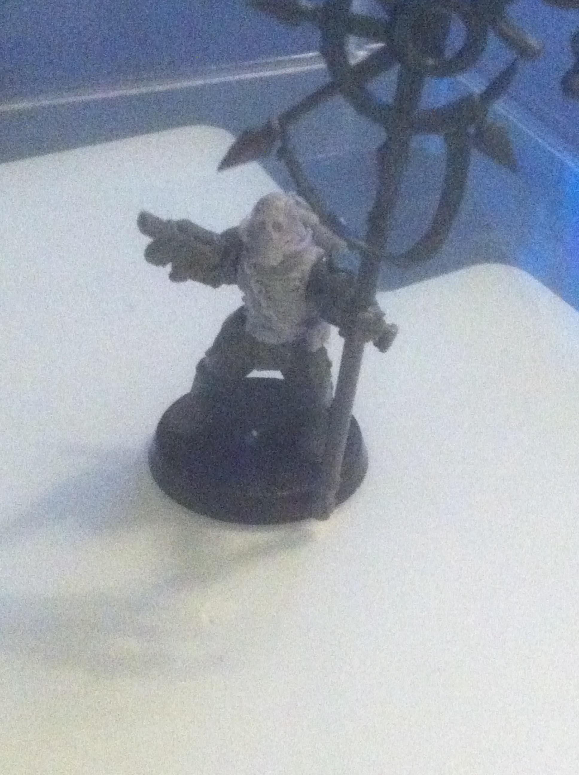 For my squad of disciples I took this militia torso and stuck it on some IG legs (they don't quite line-up) and threw the Slaanesh standard from a CSM set on him