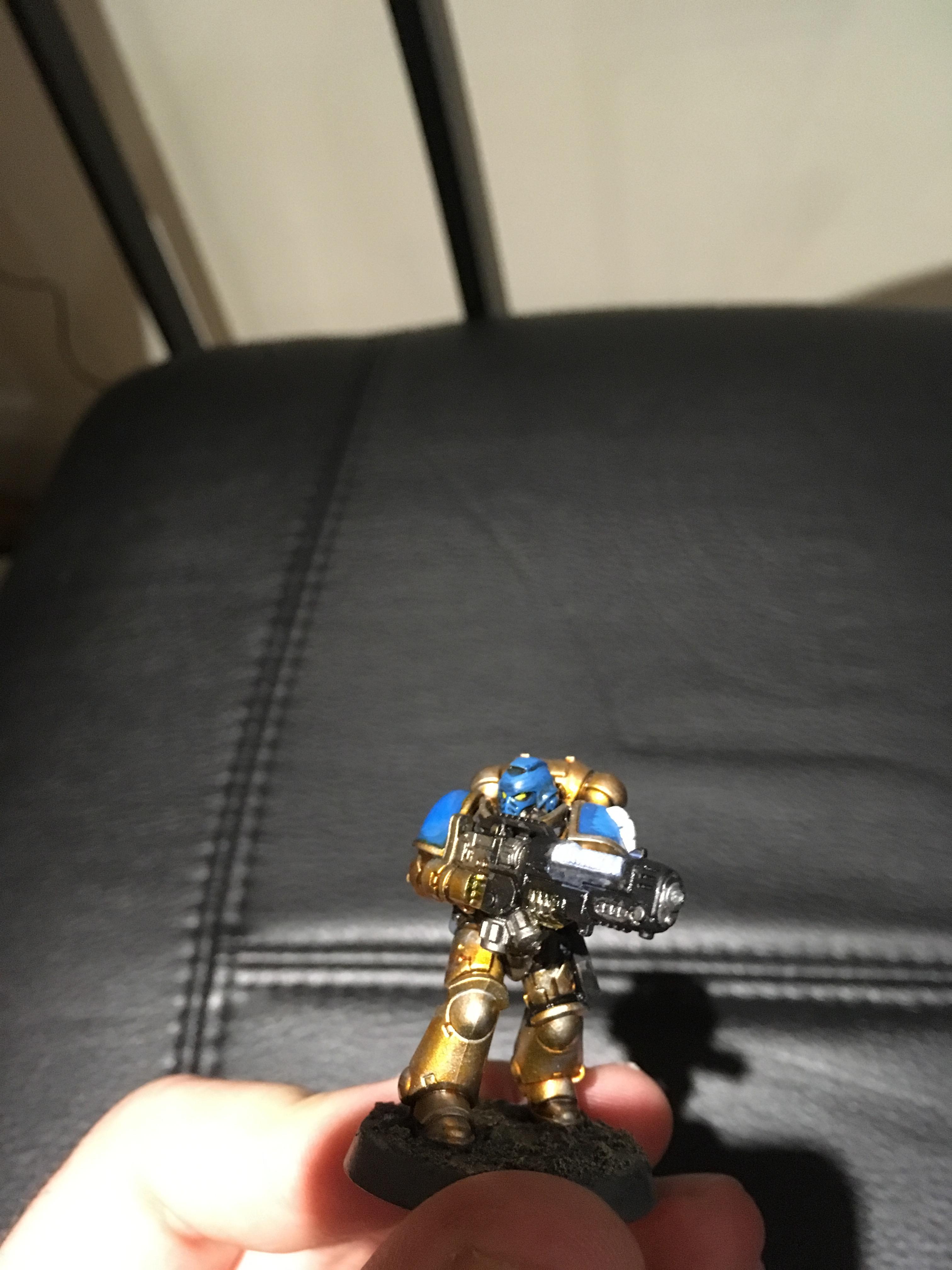 Celestial Lions, Space Marines