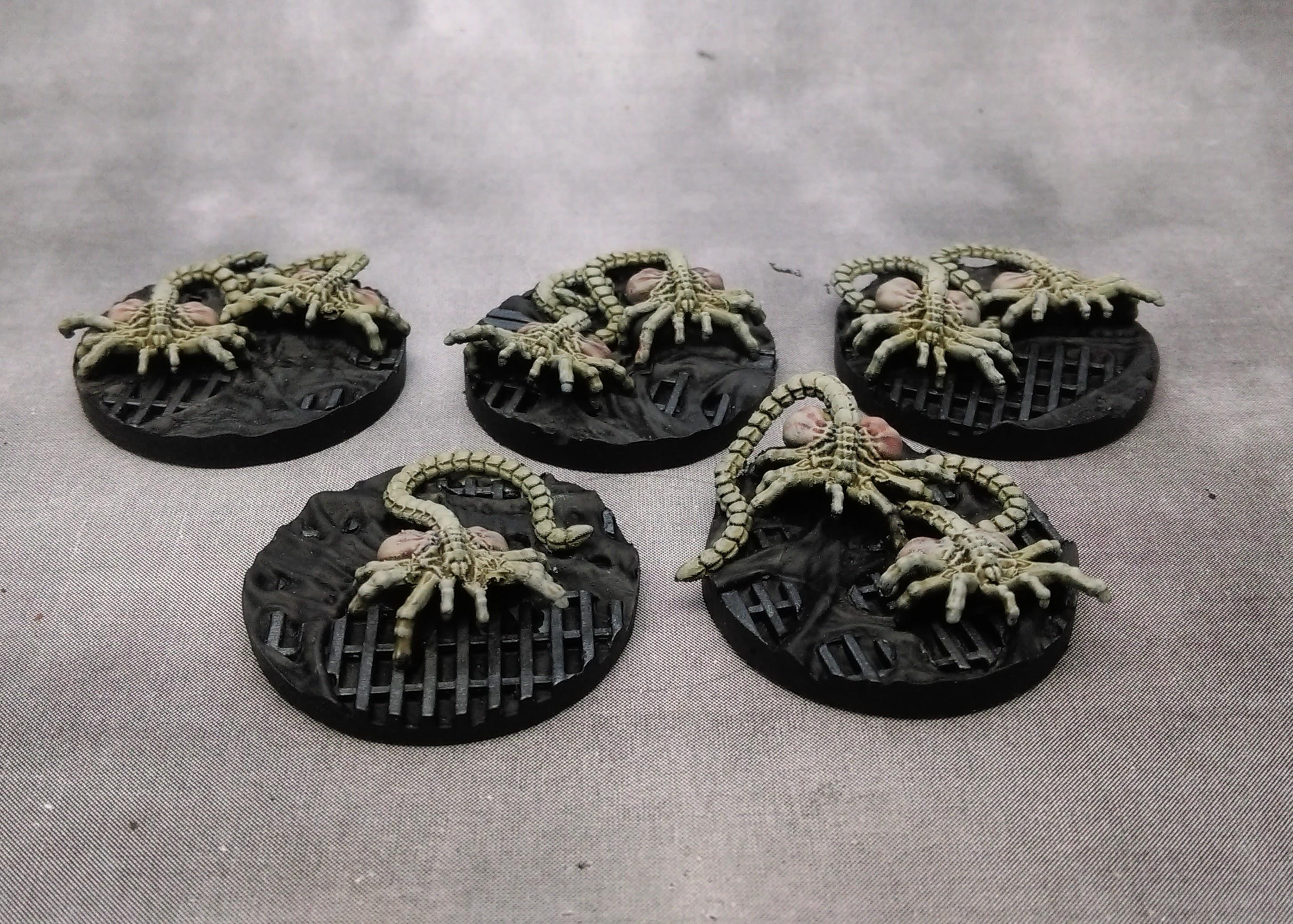Alien, Avp, Predator, Space Marines