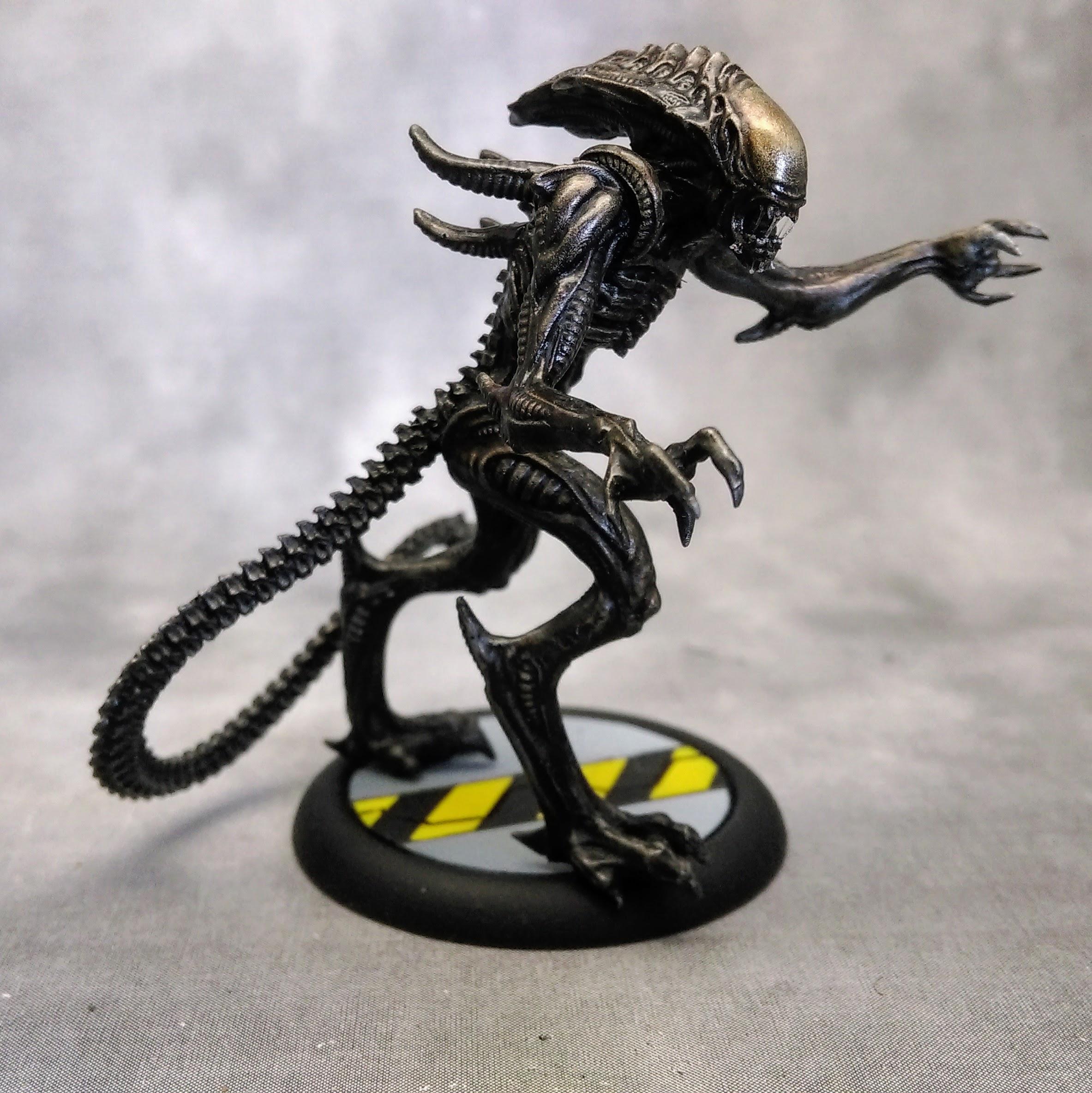 Alien, Avp, Predator, Space Marines