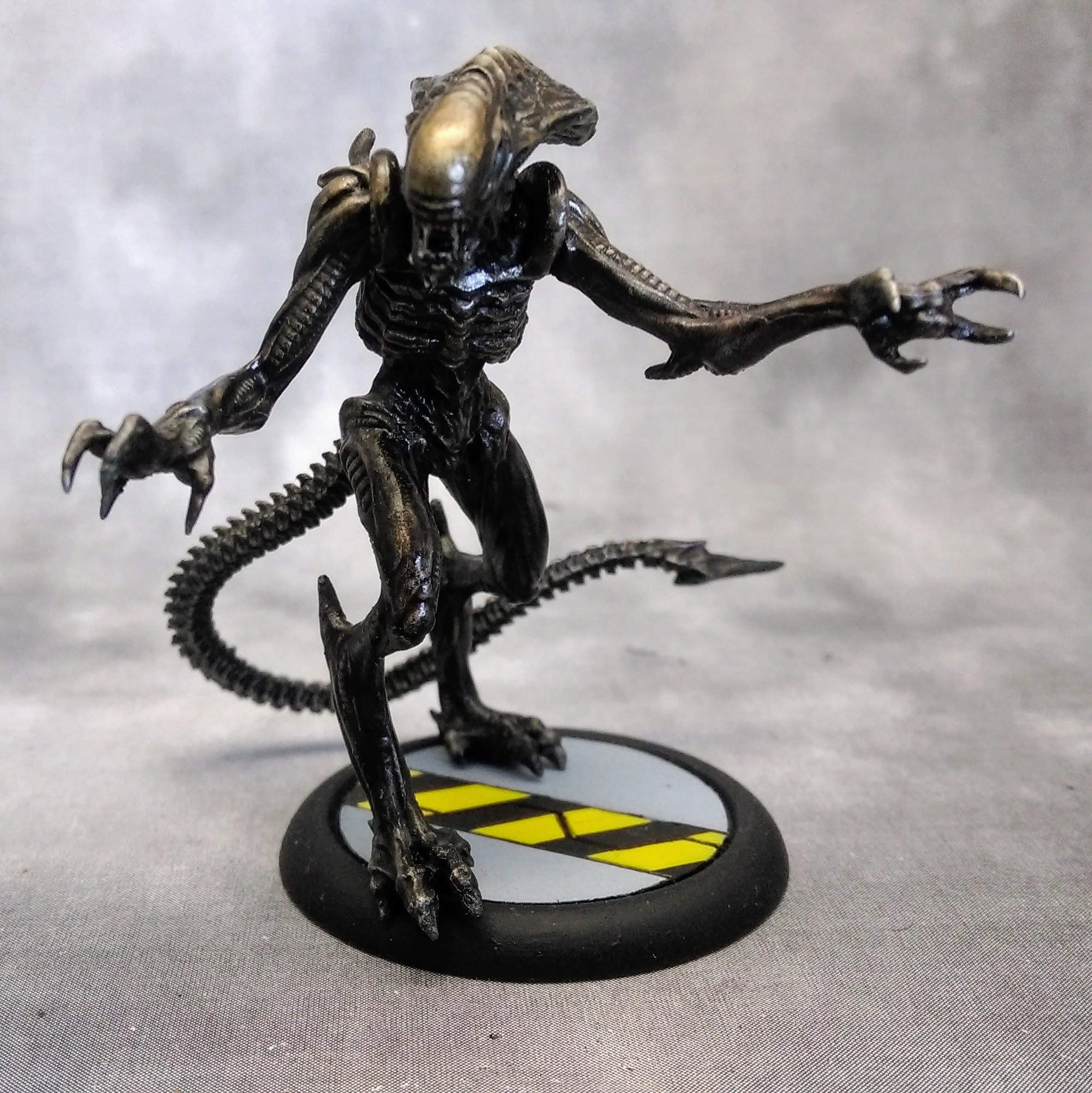 Alien, Avp, Predator, Space Marines