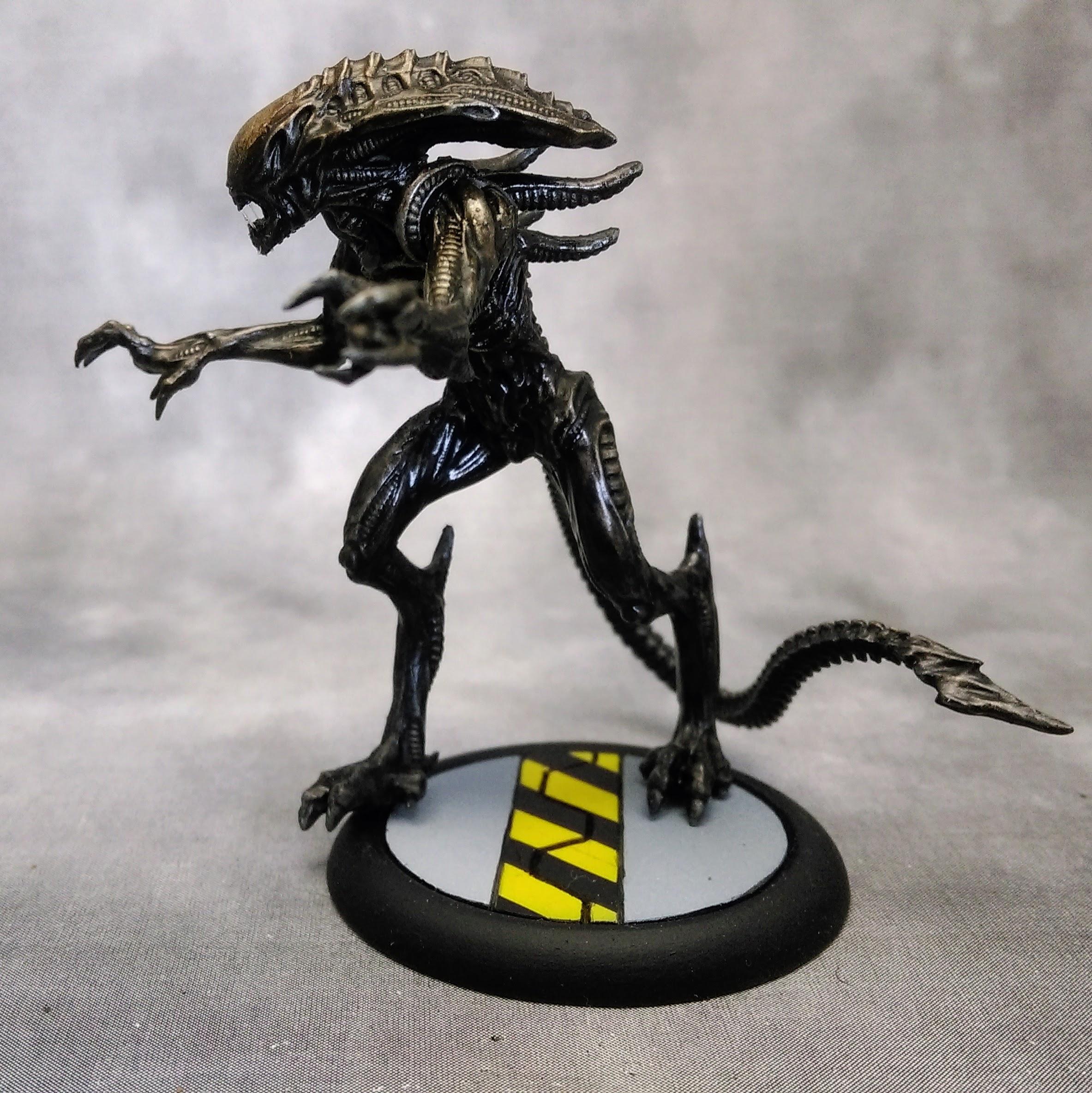 Alien, Avp, Predator, Space Marines