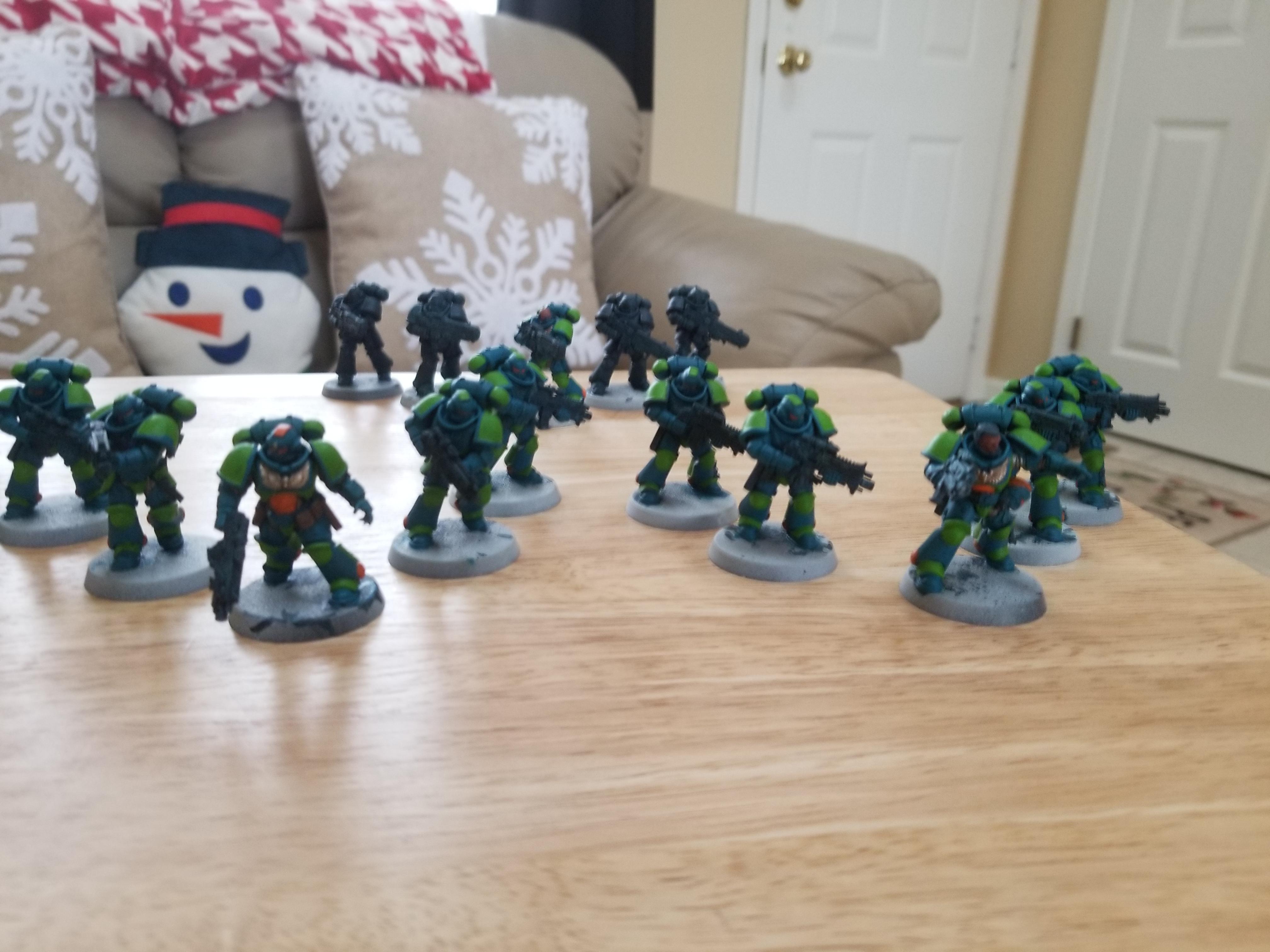 First steps (1)
