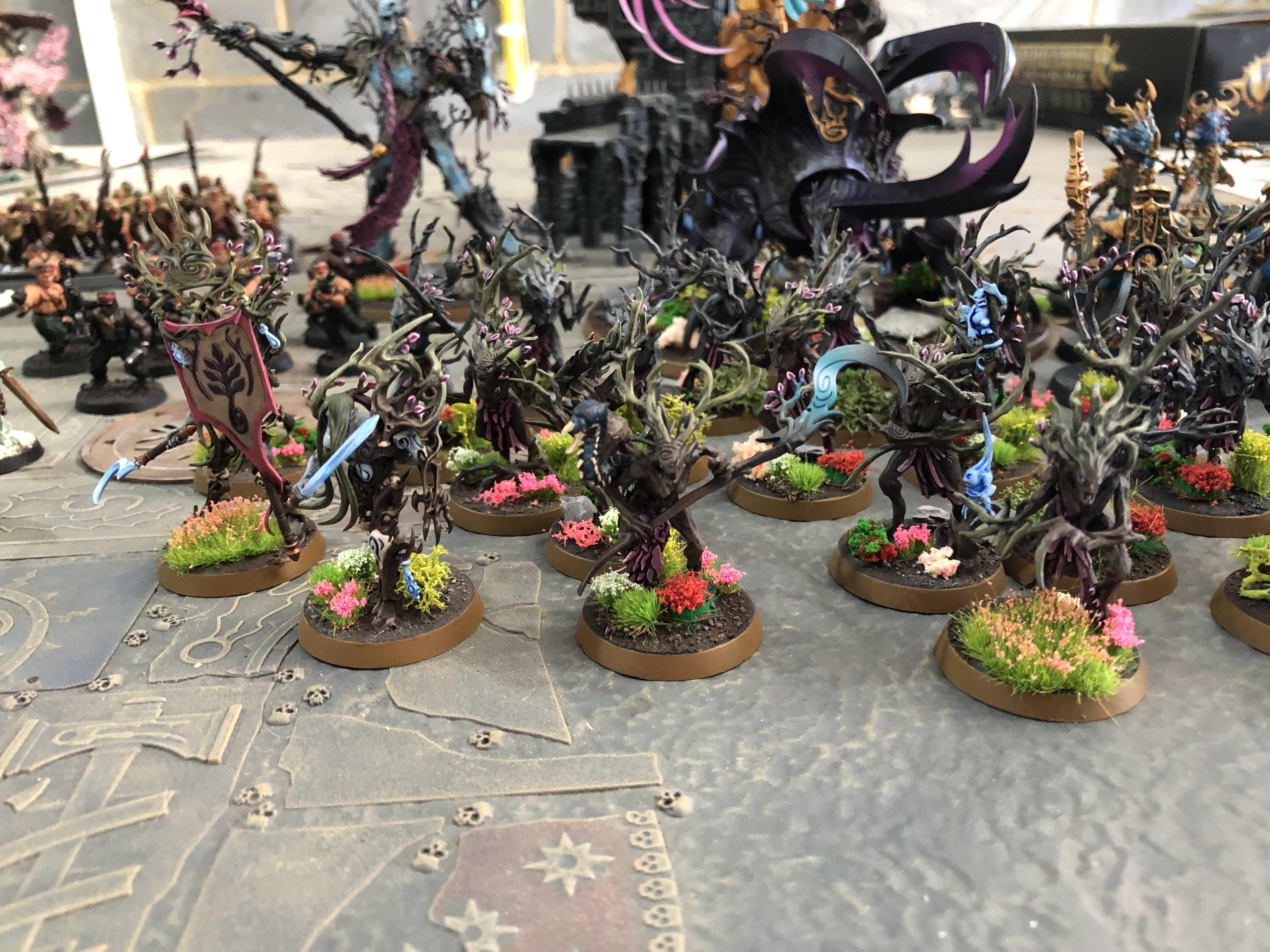 2018 Sylvaneth 