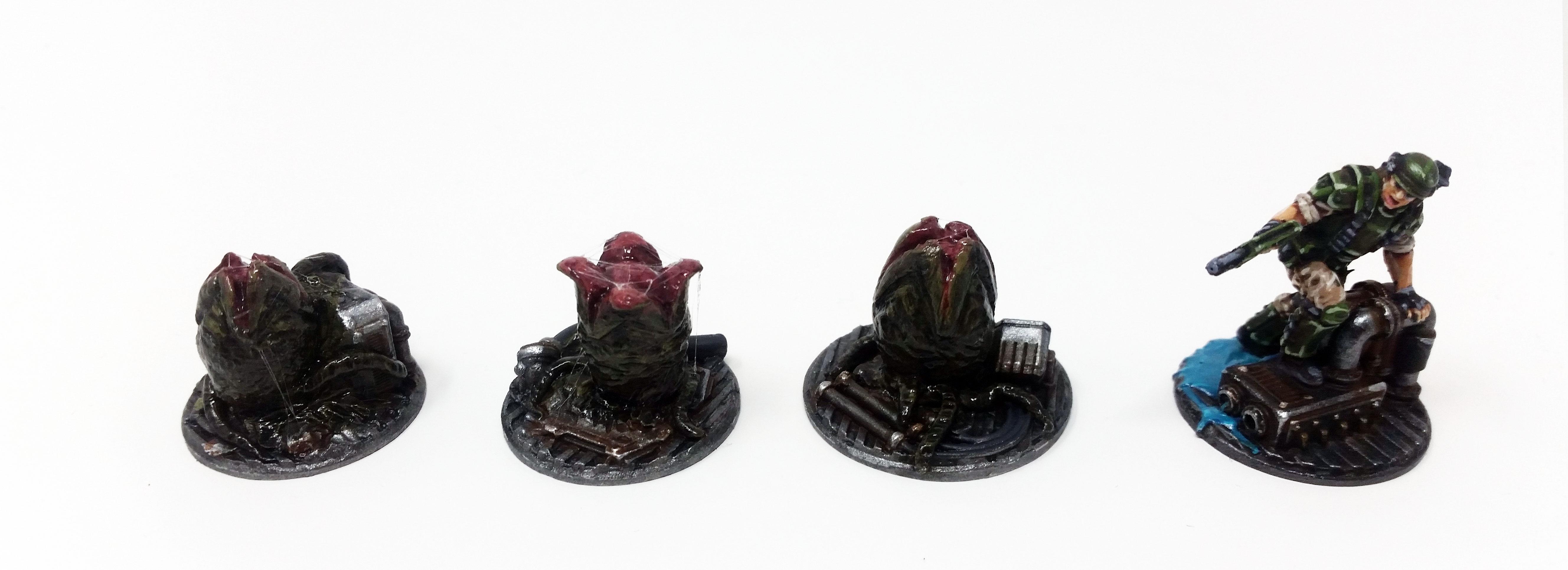 Alien Eggs, Alien Vs Predator, Avp, Colonial Marines, Ovomorph, Predator, Uscss Theseus, Xenomorph