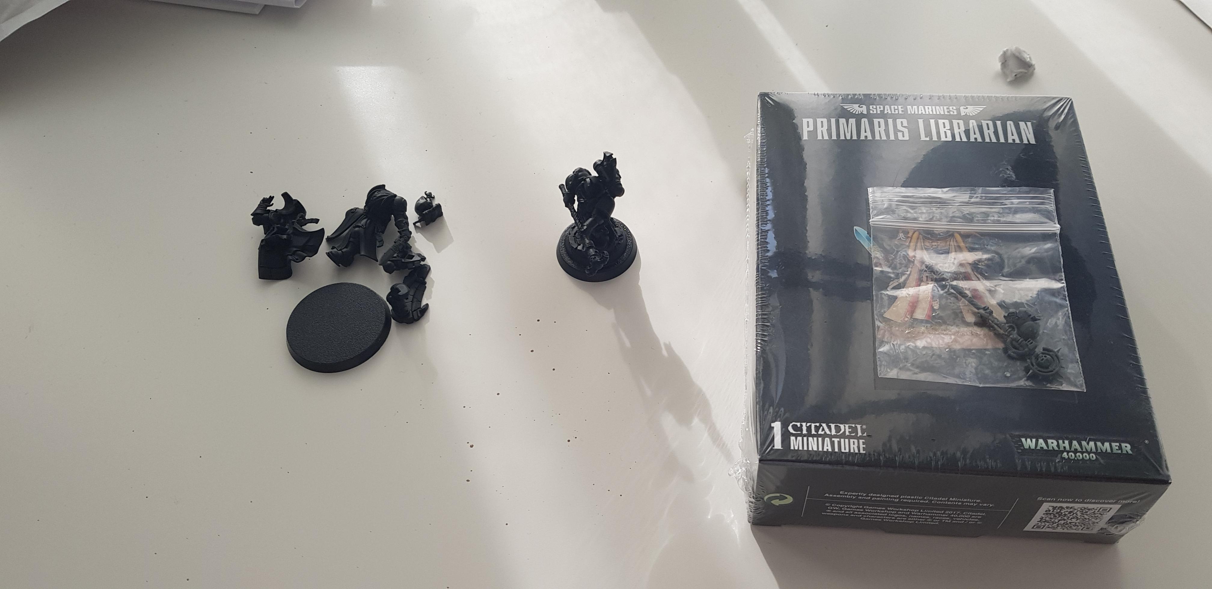Blood Ravens, Chief Librarian, Deadshot, Epistolary, Father Librarian, Jonah Orion, Jonas Urelie, Kitbash, Librarian, Ordo Psykana, Space Marines, Tigurius, Varro Tigurius
