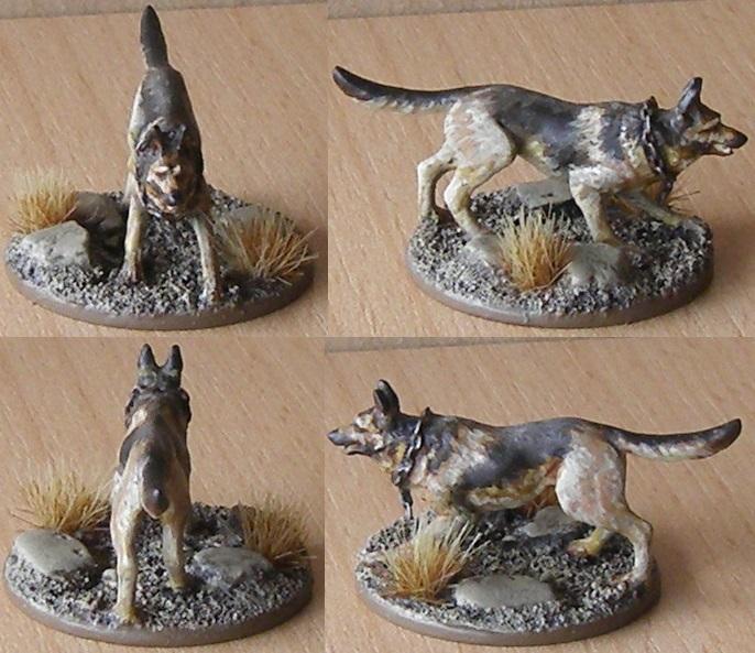 Good Boy, Dog