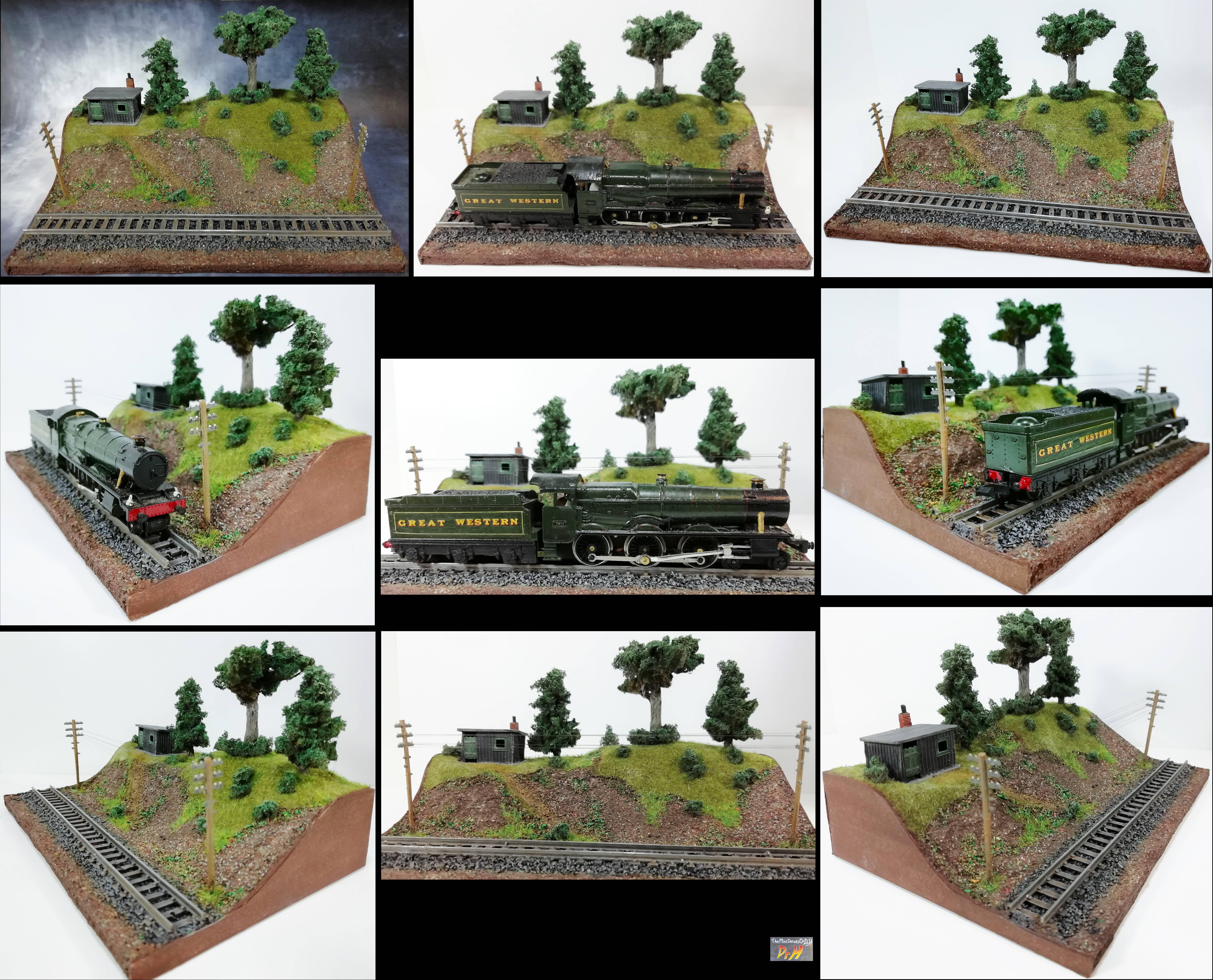 Large N-gauge train display 1