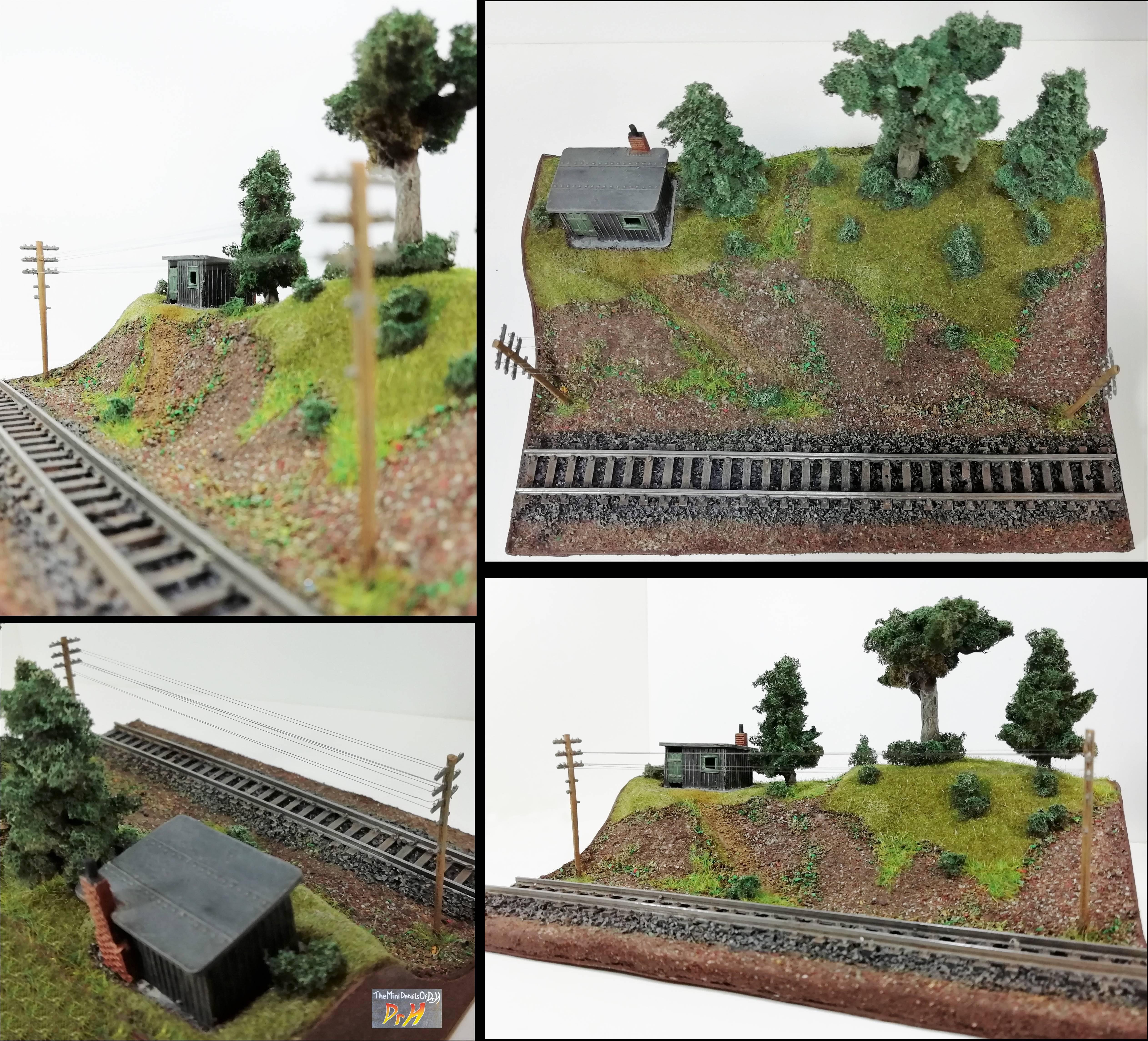 Large N-gauge train display 2