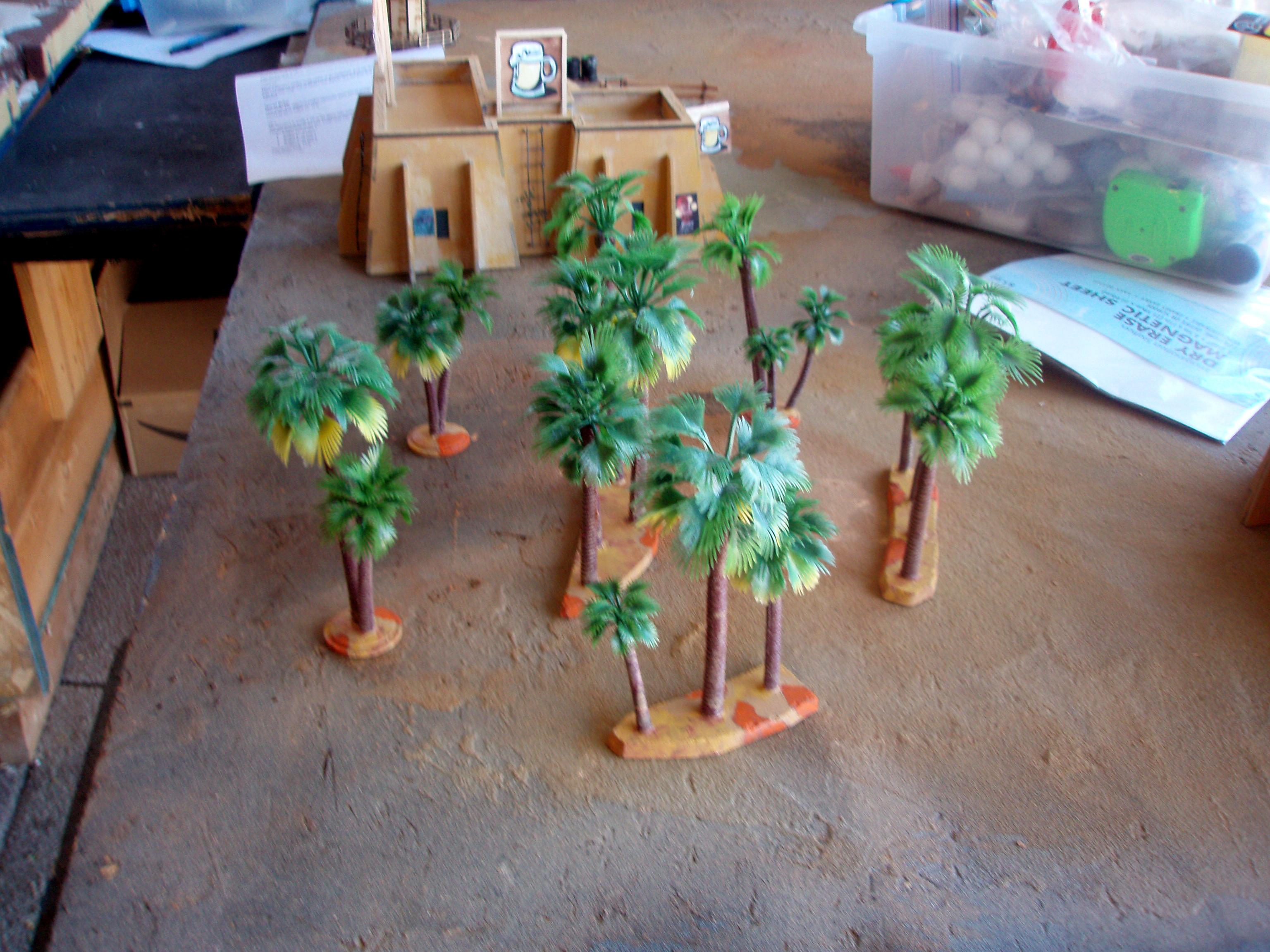 Desert, Desert Terrain, Palm Trees, Trees
