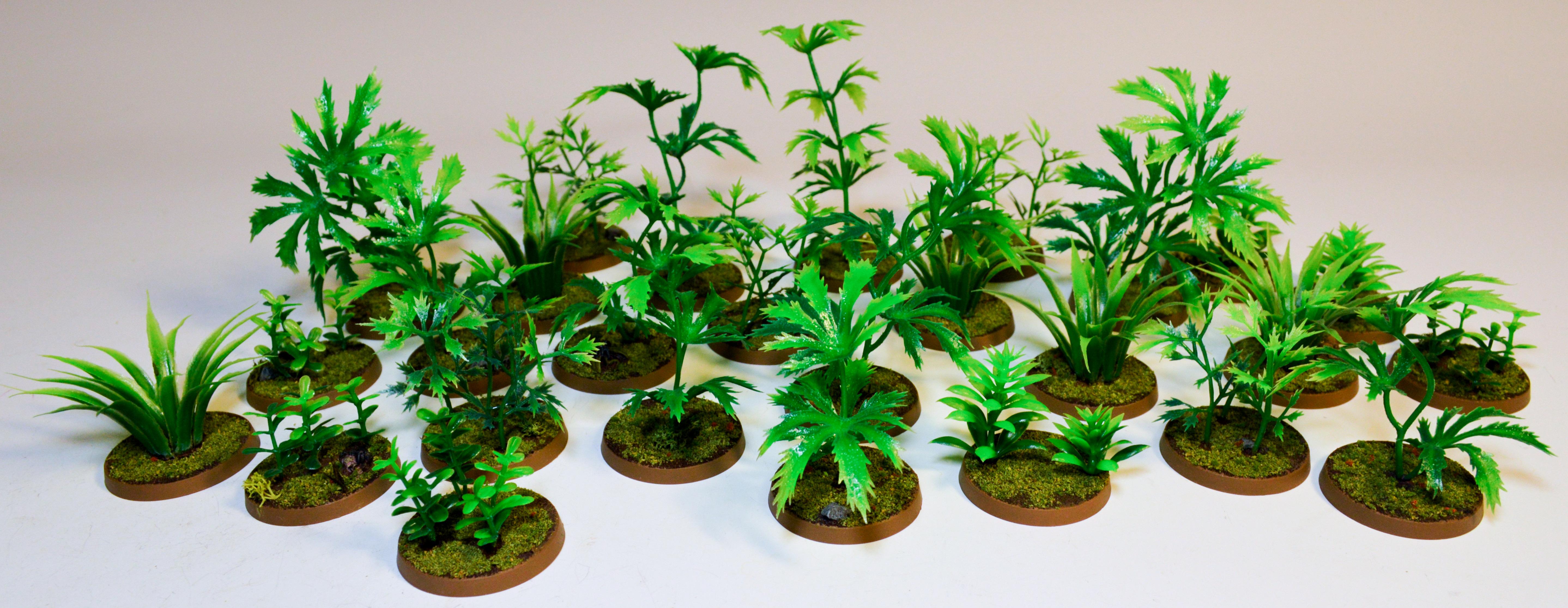 Jungle Floor, Terrain