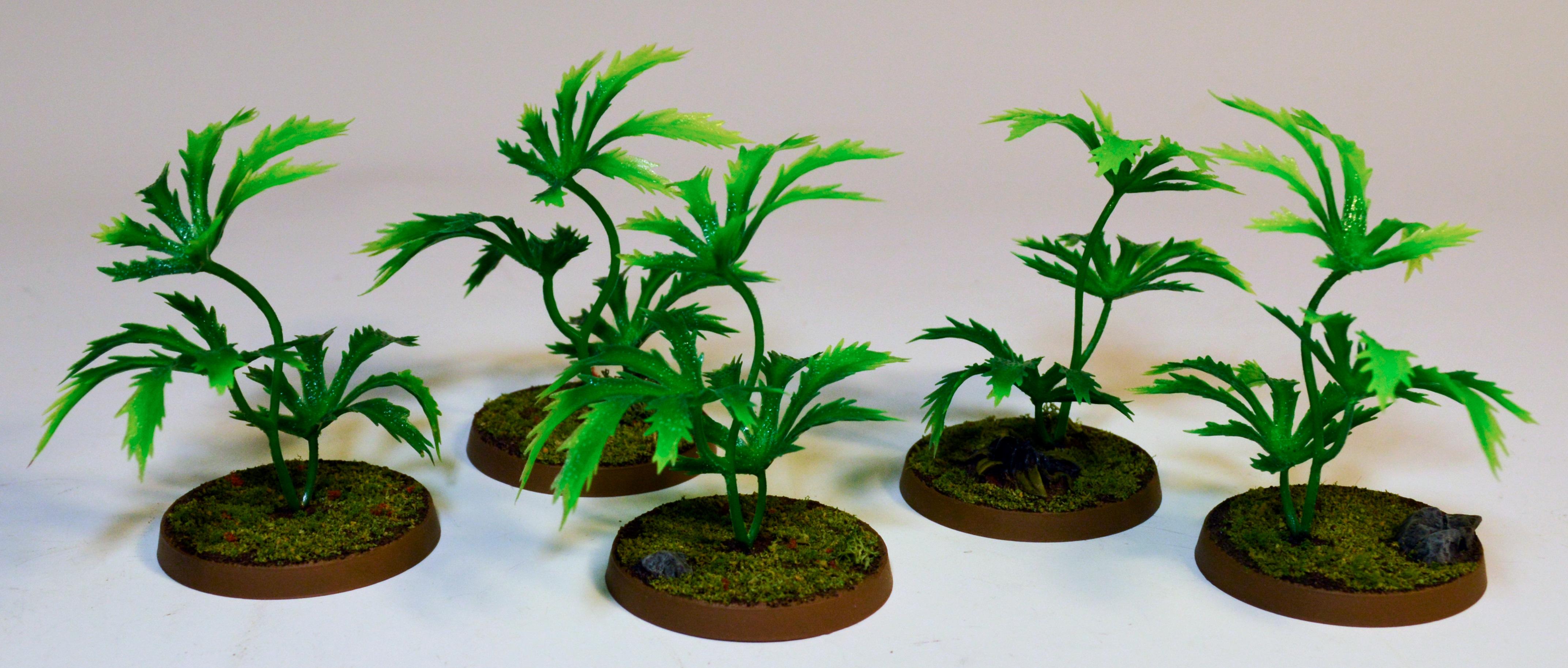 Jungle Floor, Terrain